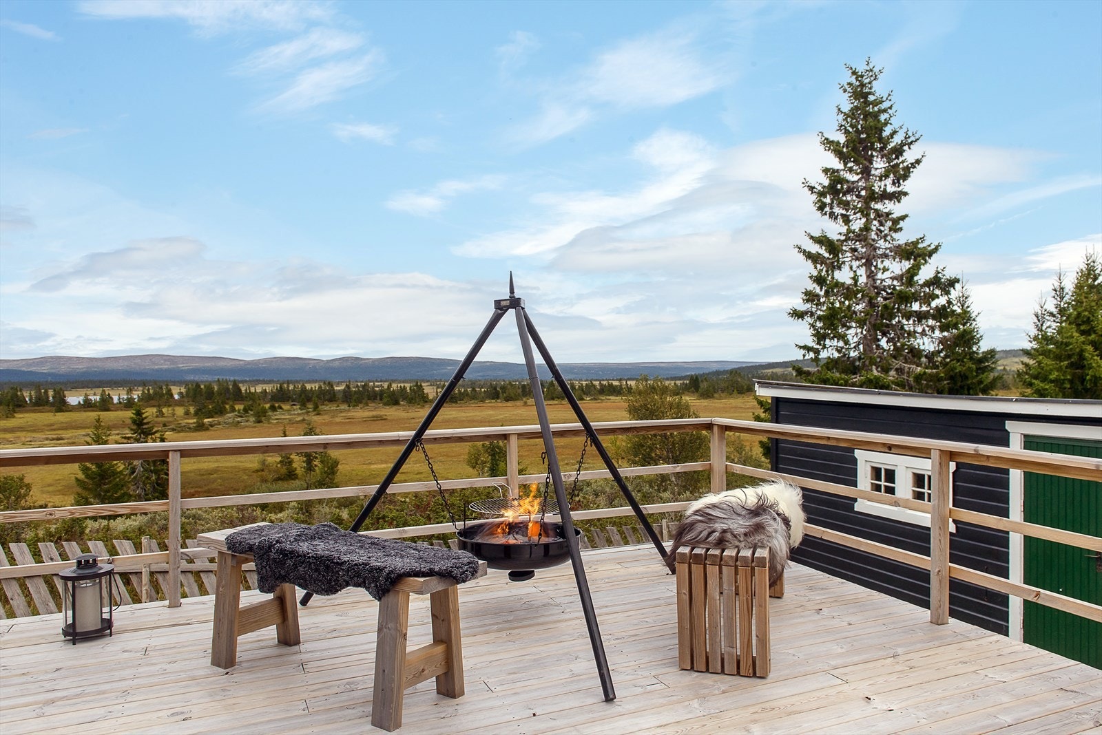 Området byr også på godt multeterreng. Galleribilde