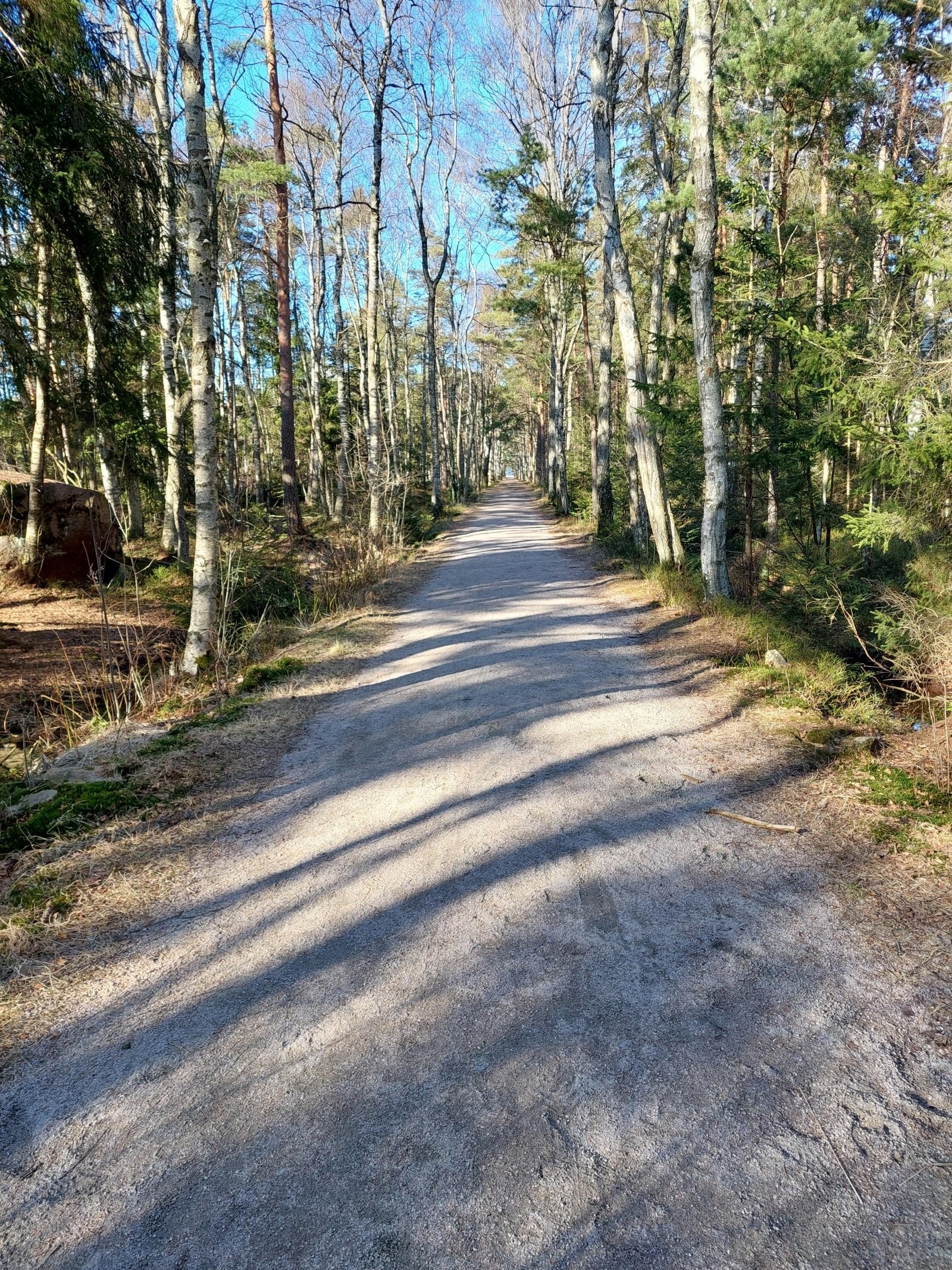 Private bilder Galleribilde