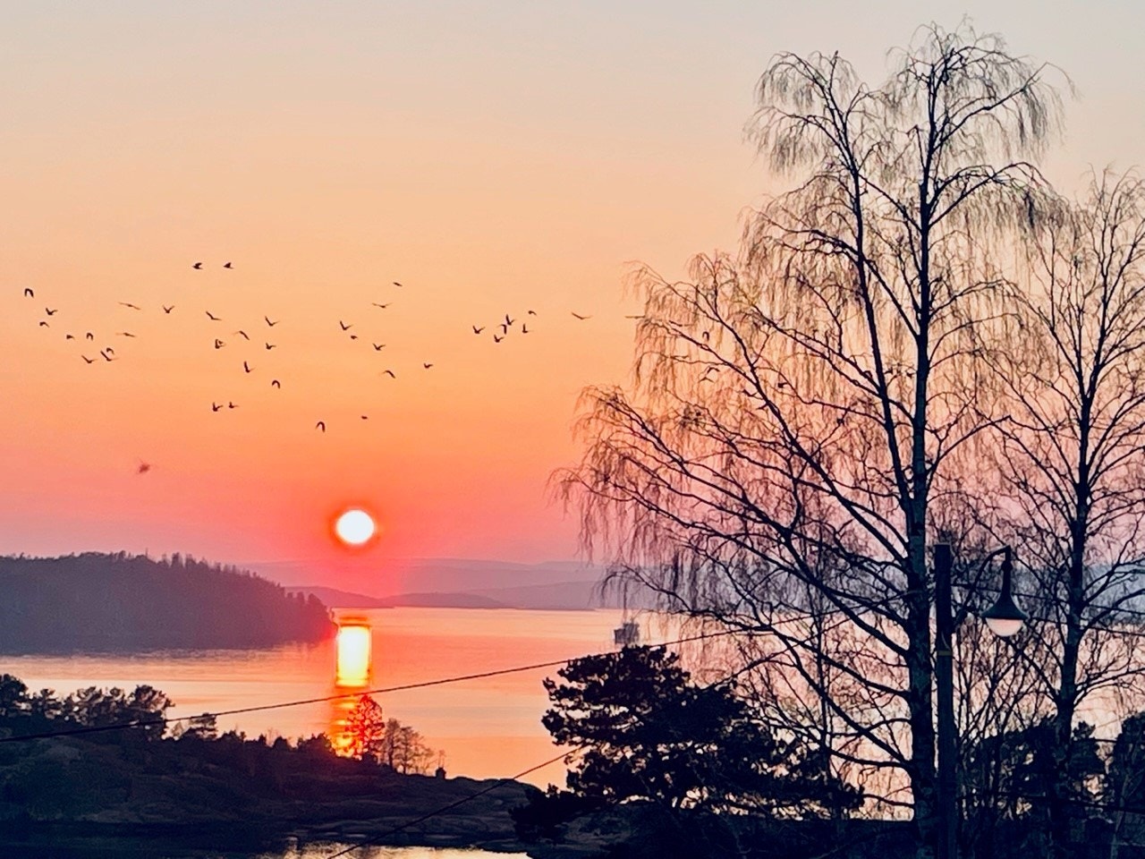 Herlige kveldsvibber - selgers private bilde. Galleribilde