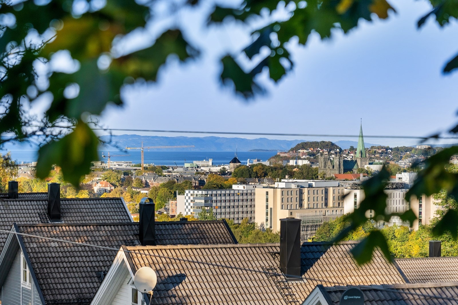 Eneboligen ligger midt mellom sentrum og vakre Bymarka! Galleribilde