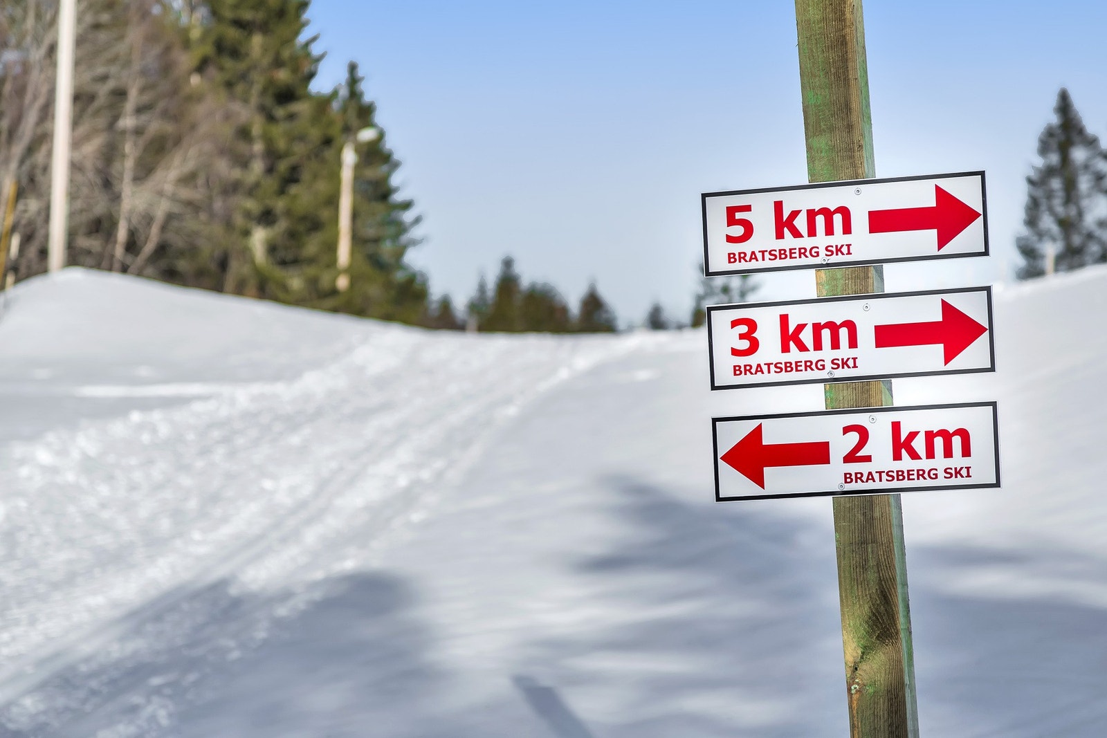 På vinterstid kan man ta med seg skøytene til Bratsberg skole for en runde på skøytebanen, eventuelt ta en skitur i lysløypa. Galleribilde