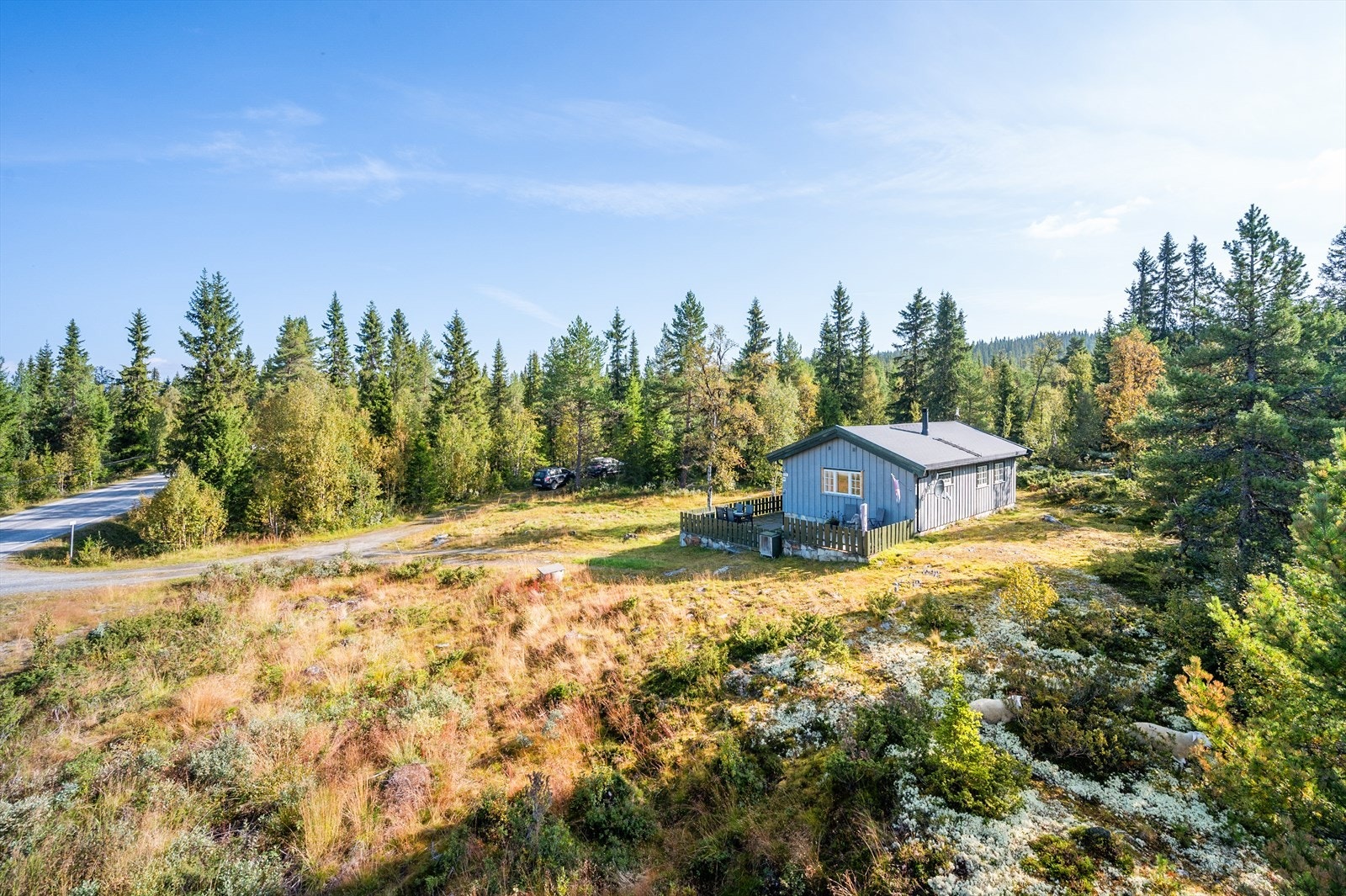 Hytten ligger i nær tilknytning til Gålåvegen. Galleribilde