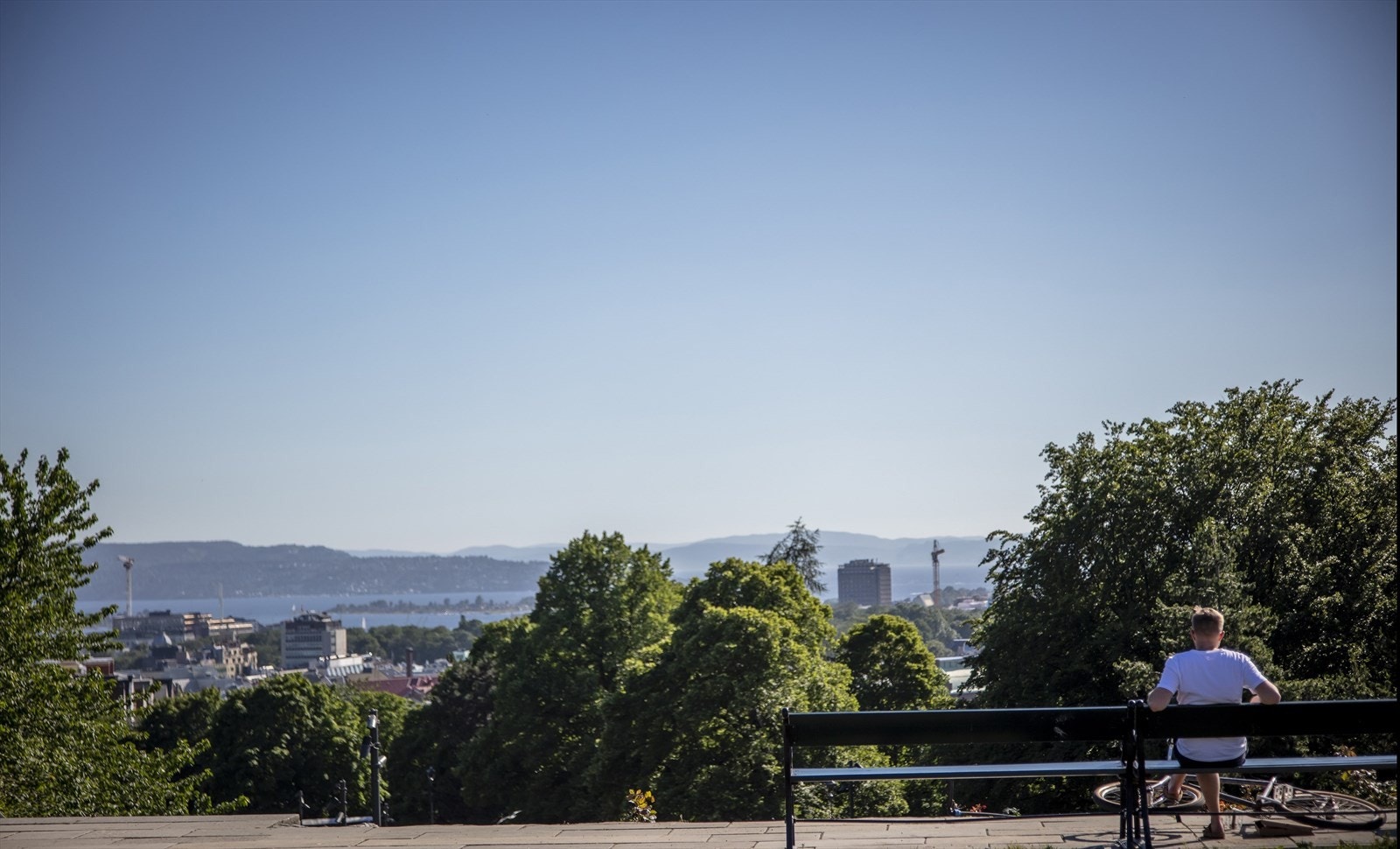 Områdebilde. Galleribilde