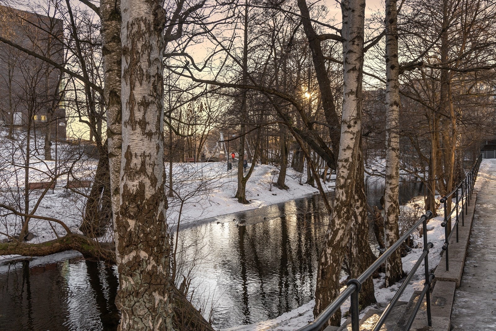 Områdebilde. Galleribilde