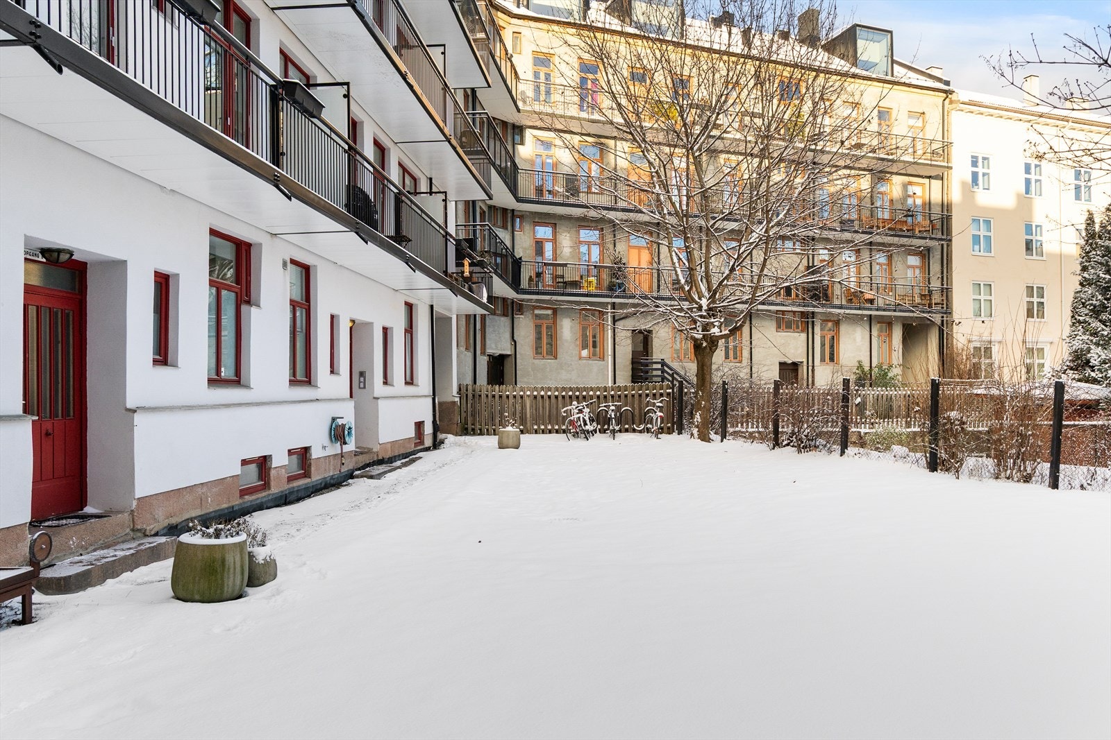 Om våren og sommeren er det et stort, grønt tre rett utenfor leiligheten. Galleribilde