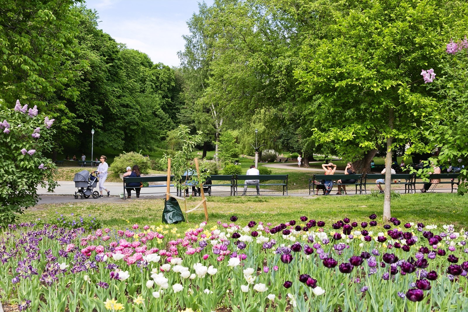 Områdebilde. Galleribilde