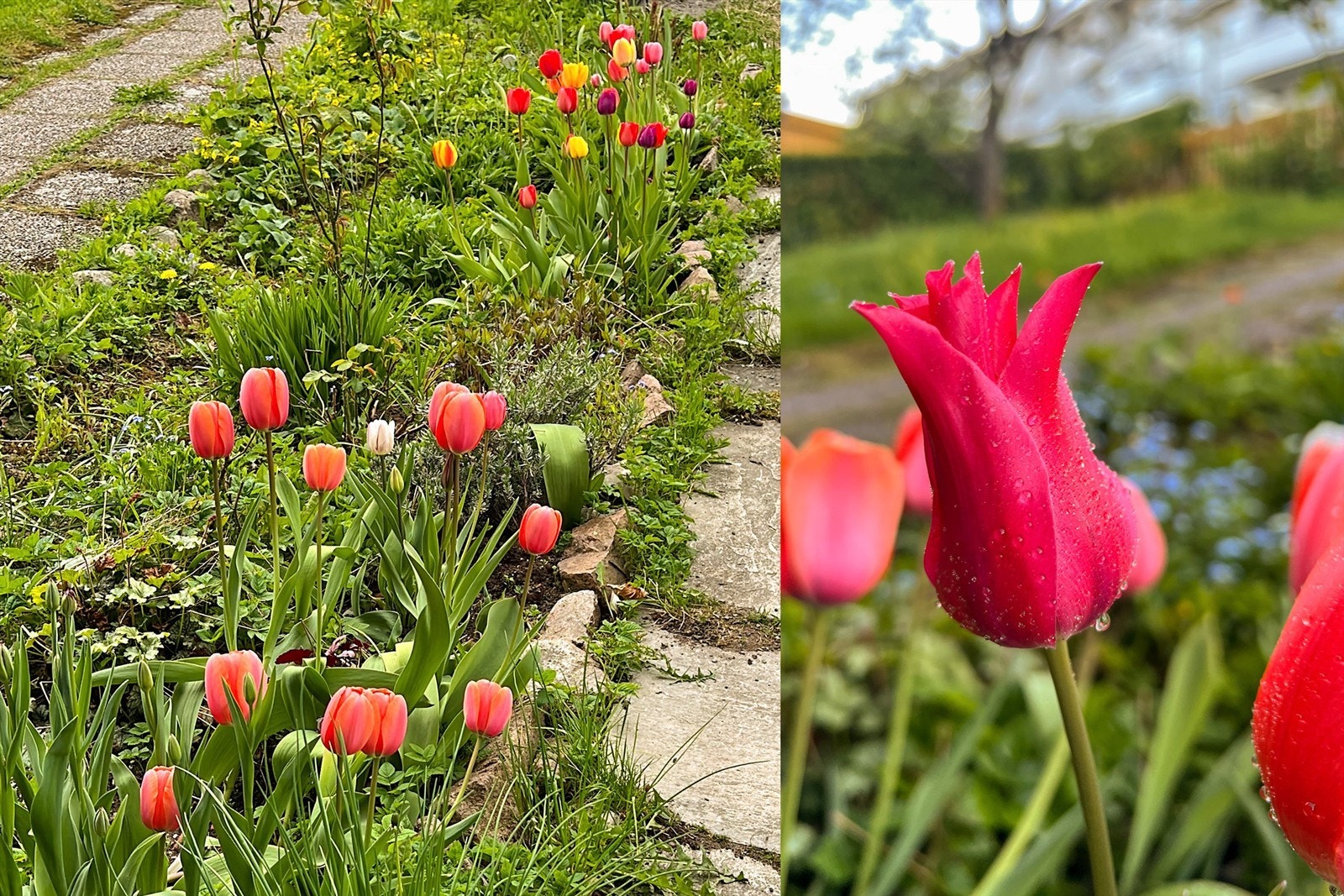 Stemningsbilde - bilde tatt av selger Galleribilde