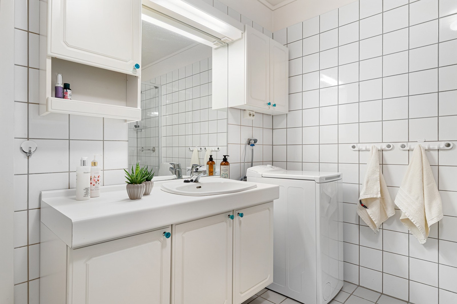 Det er også opplegg til oppvaskmaskin. Galleribilde