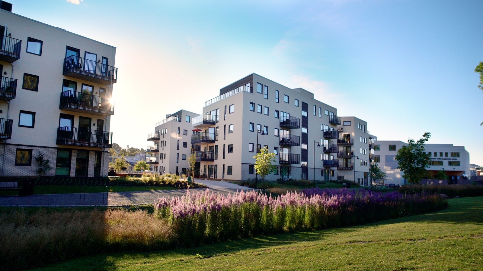 Parkområde Galleribilde