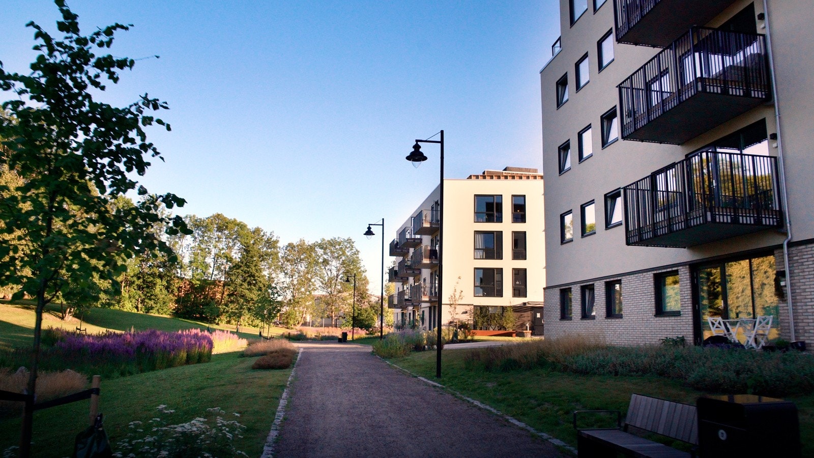 Parkområde Galleribilde