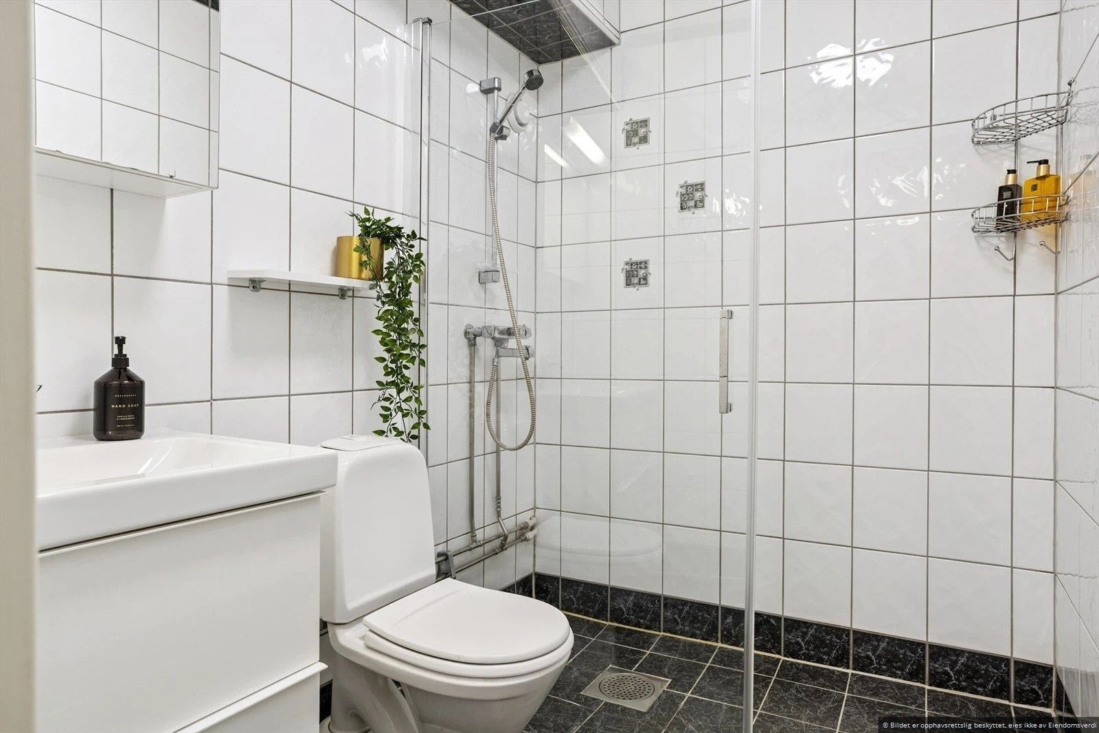 Helfliset baderom utstyrt med wc, dusj, servant m/ speil Galleribilde