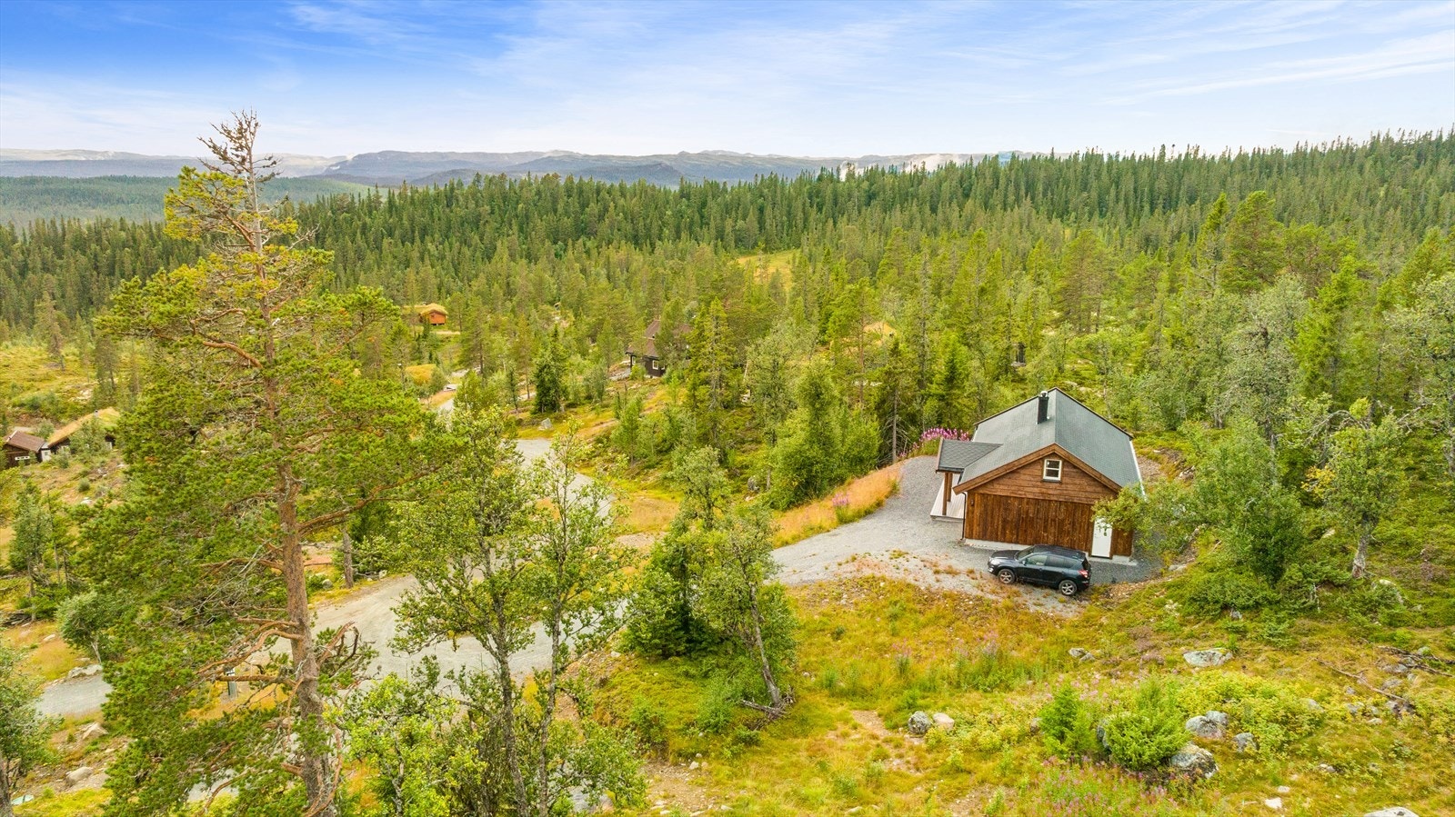 Skirvedalen er et populært hytteområde og en naturlig inngangsport til Hardangervidda, som blir regnet som Norges og Europas største høyfjellsplatå. Galleribilde