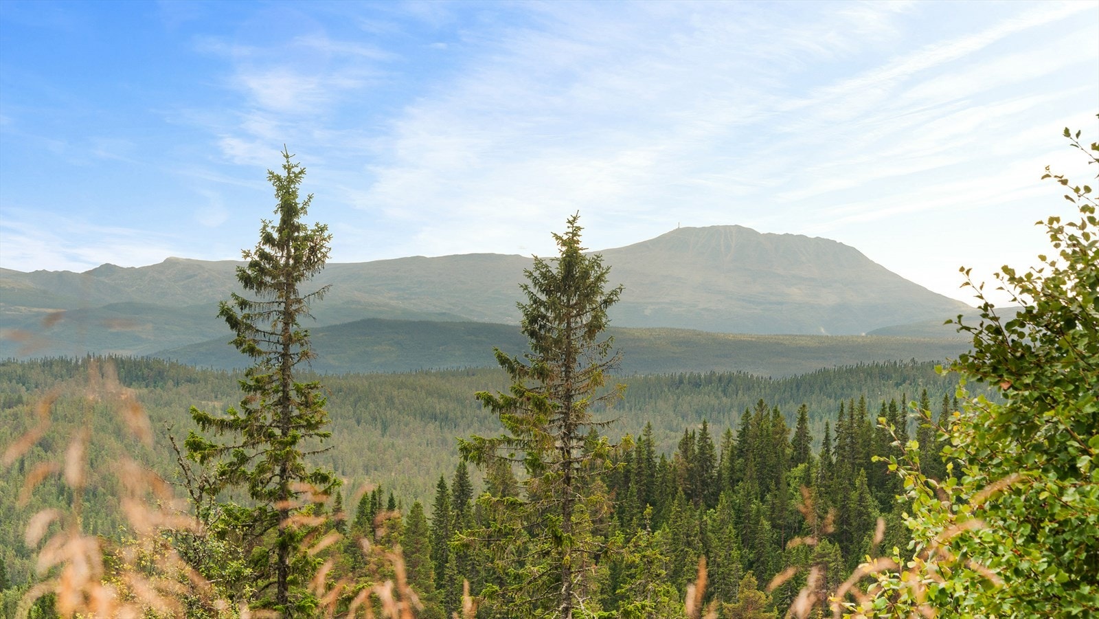 Området er et glimrende utgangspunkt for den som søker friluftsliv og naturopplevelser, med nærhet til en rekke flotte turområder, skiløyper, fiskevann og jaktområder. Galleribilde