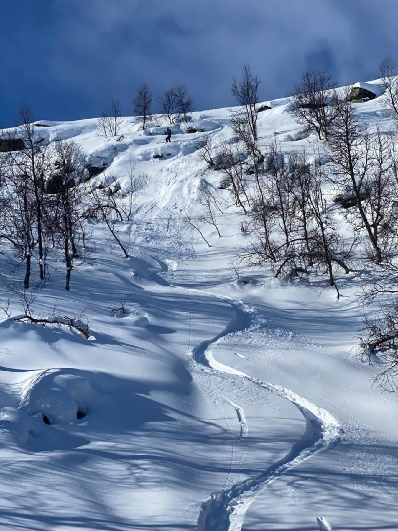 Selgers ord: Når det er pudderføre spenner vi på randonee utstyret og går opp Slettefjell rett fra hytta. Vi har puddersnøen nesten for oss selv, og det er ganske unikt. Vinterbilde fra selgers arkiv. Galleribilde