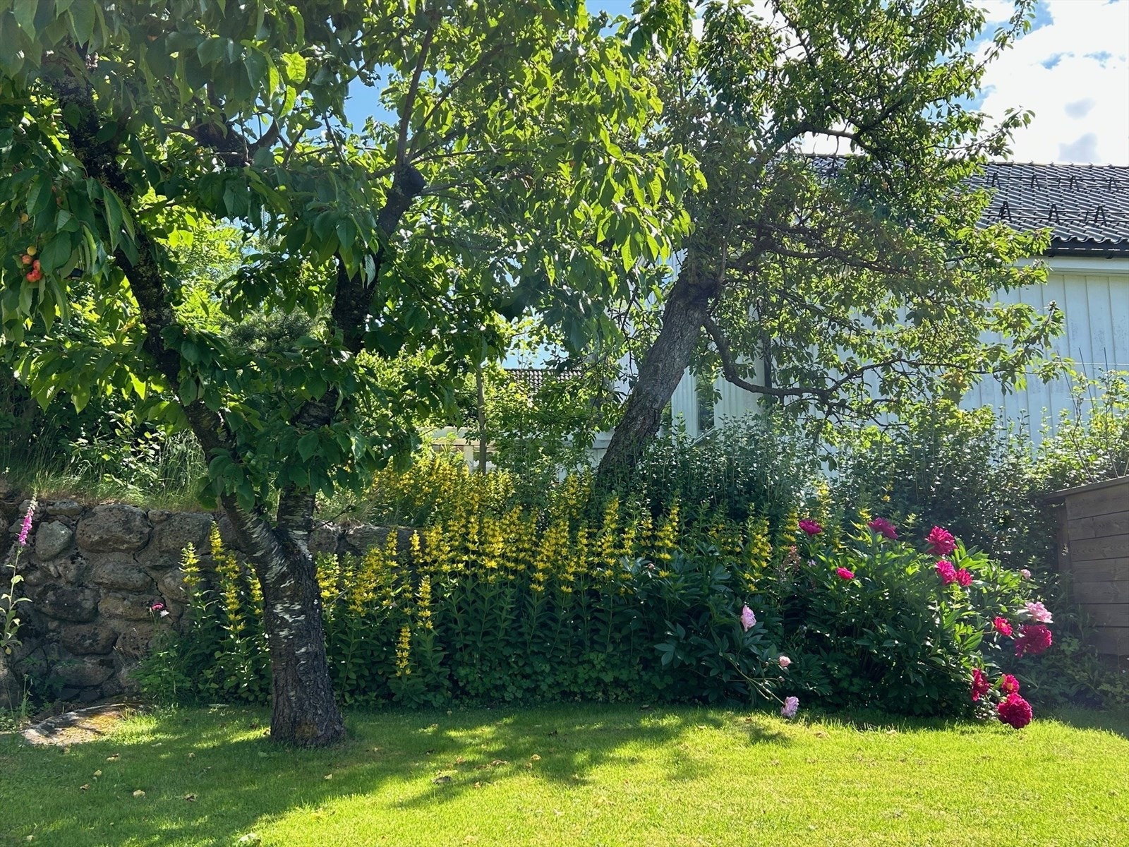 Hagebilde Galleribilde