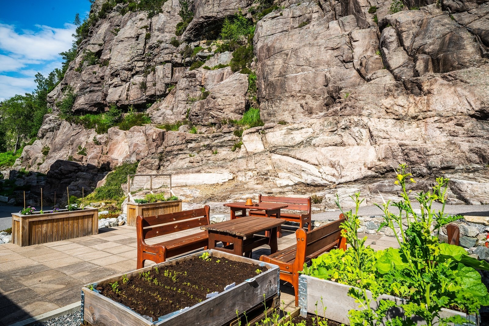 - Pent opparbeidet hage på borettslagets tomt - Galleribilde