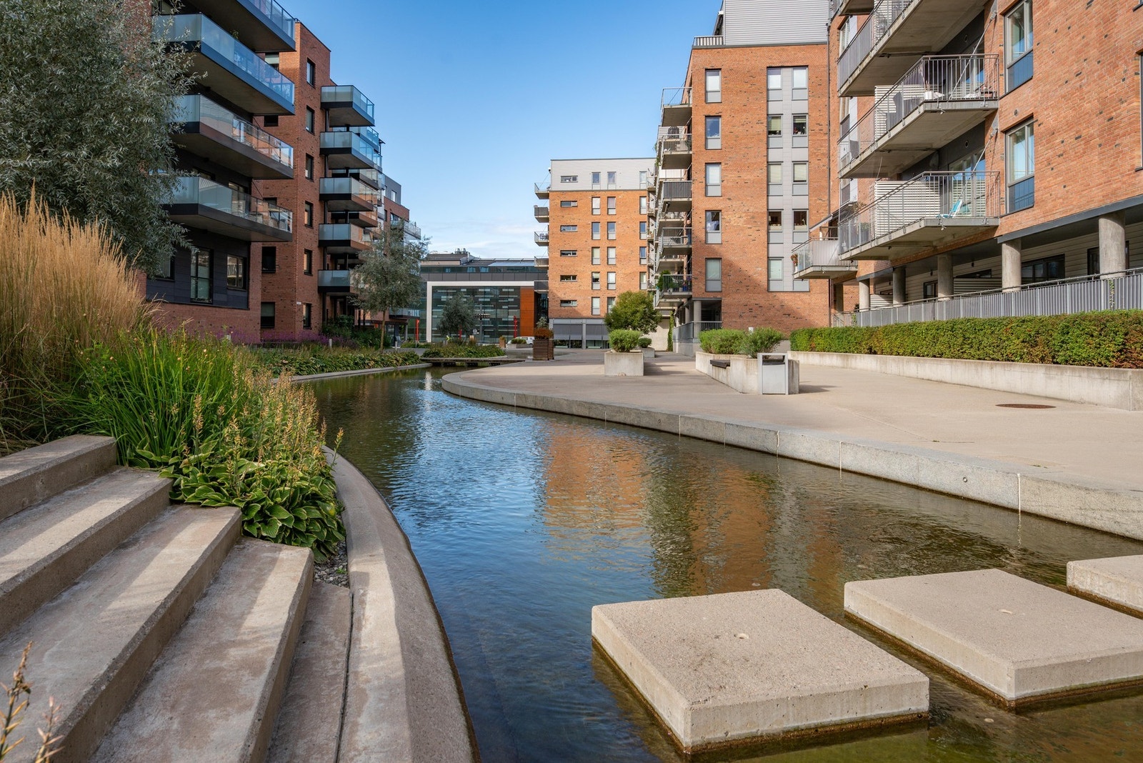 Nærområdet. Galleribilde