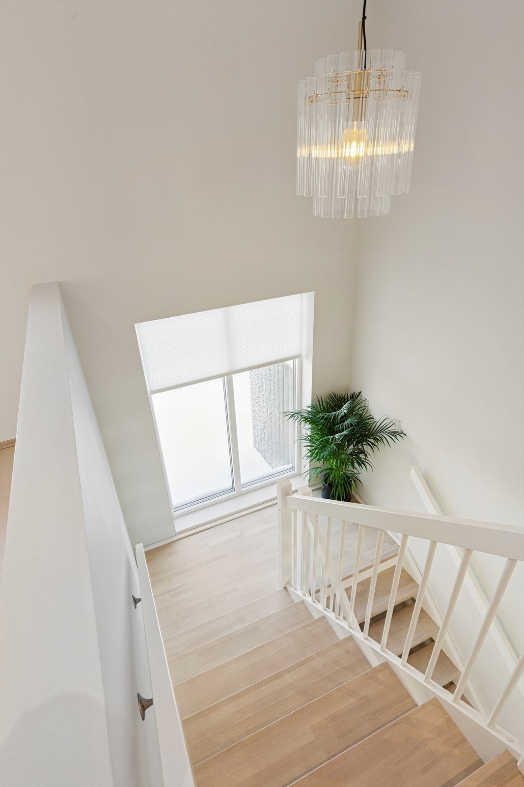 Romslig og fin trappegang, med vindu i trappa. Galleribilde