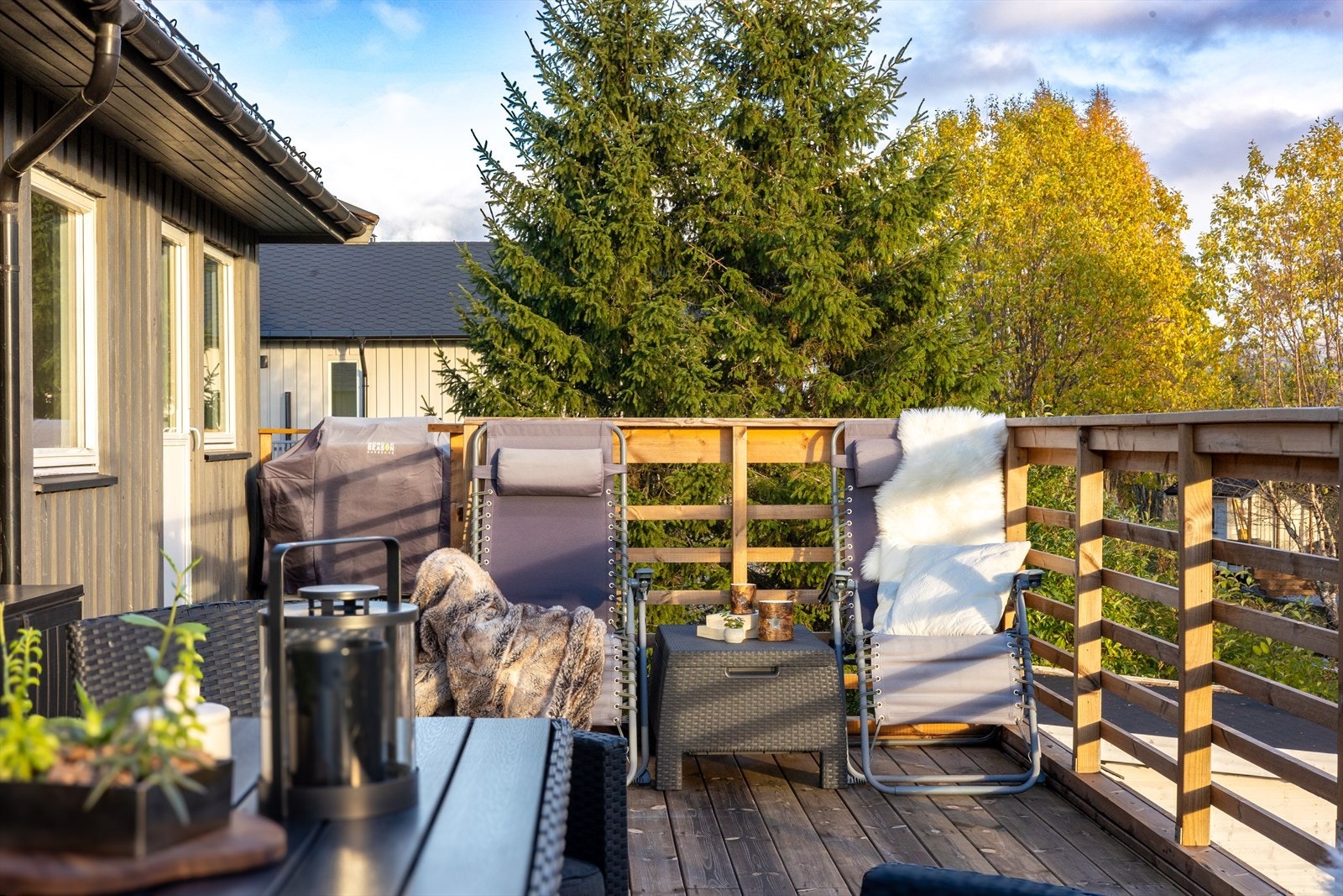 På denne siden kommer solen opp, og blir der til langt utpå sen formiddag, før den beveger seg på motsatt side av eiendommen. Galleribilde