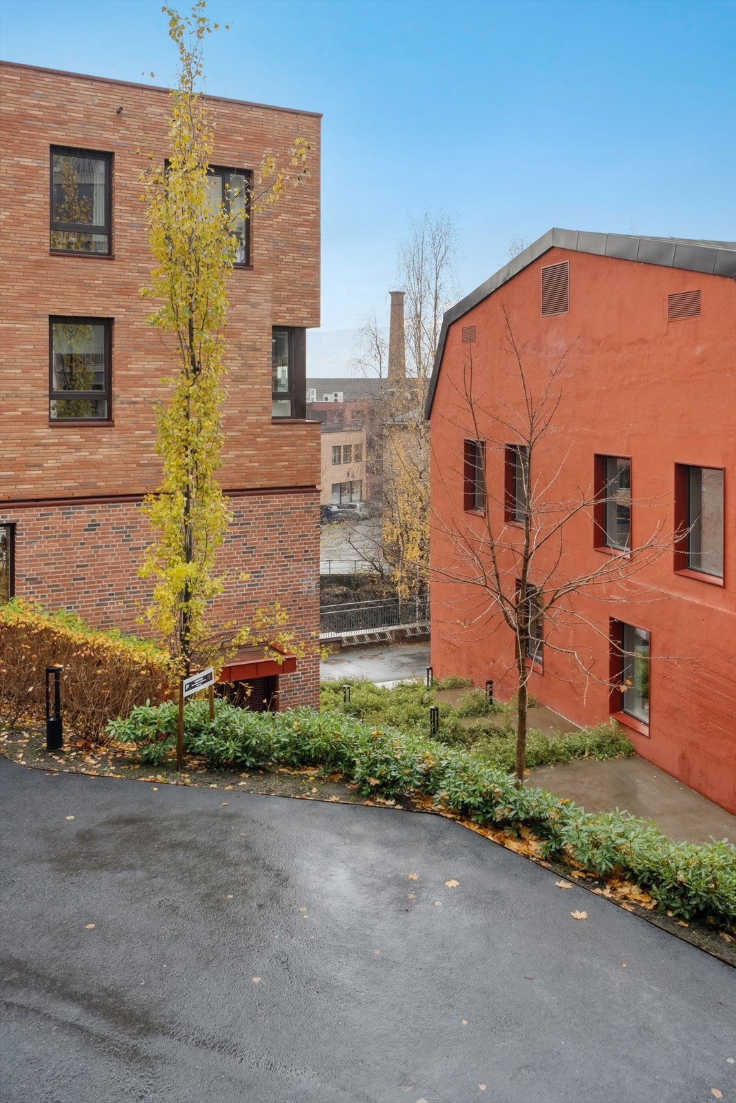 Utsikt fra veranda. Galleribilde