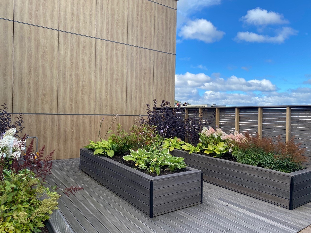 Felles takterasse på hus A. Galleribilde