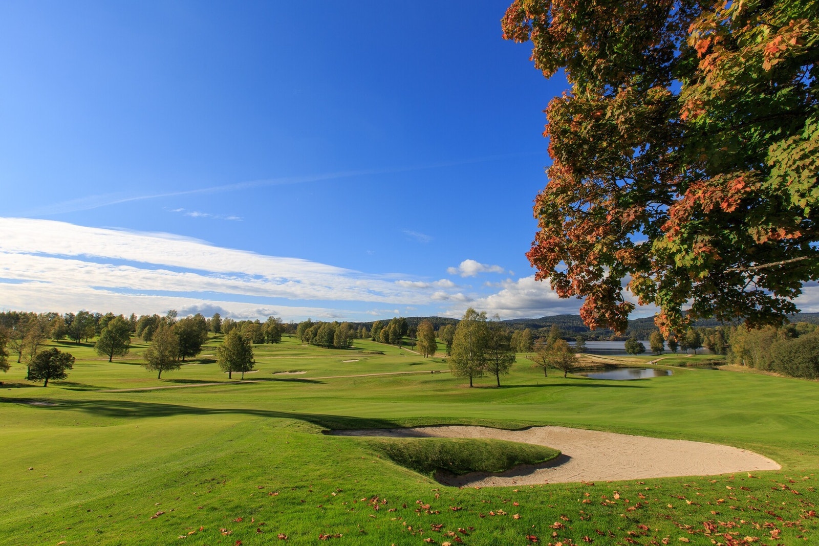 Golfbanen ved Bogstadvannet, i bunnen av Holmenkollåsen, er ifølge golfentusiaster den mest attraktive banen i landet. Galleribilde