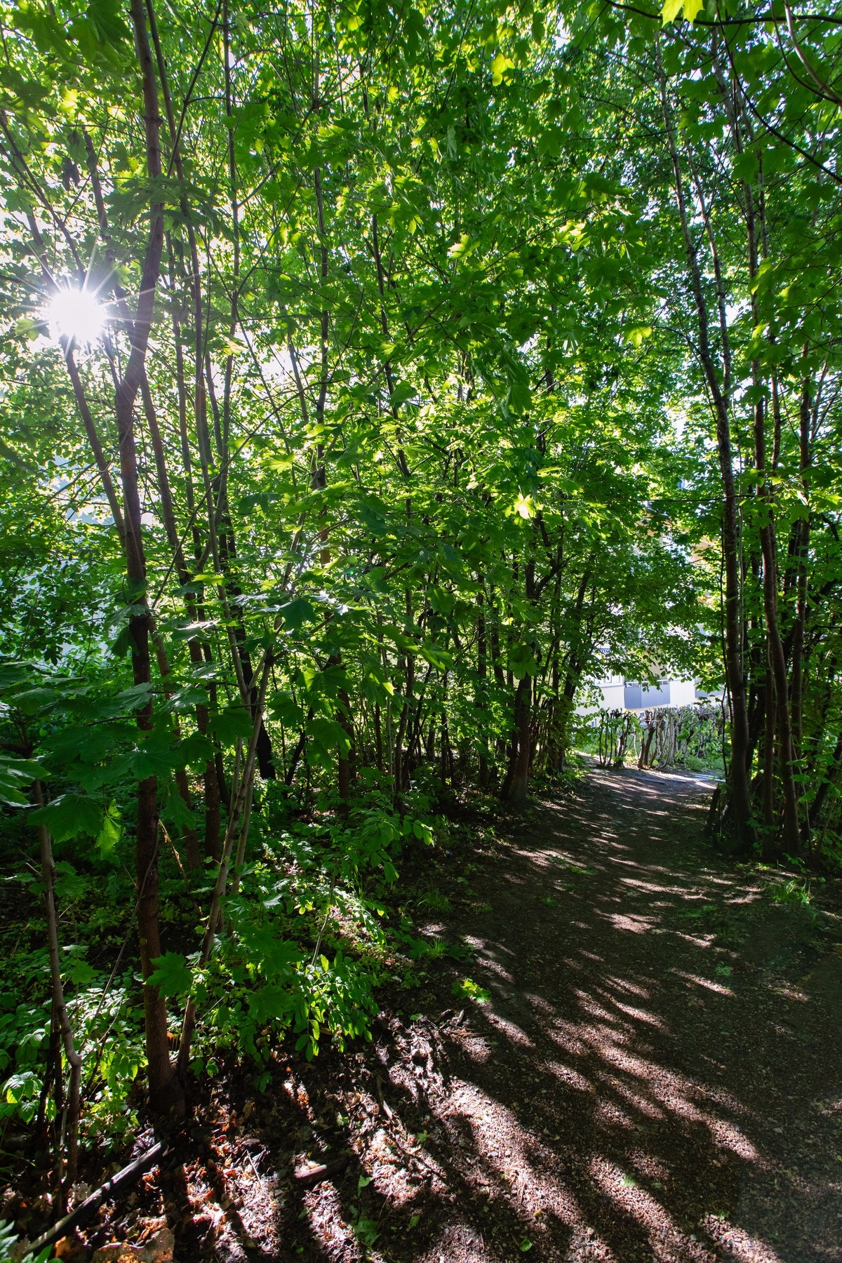 Området byr på svært gode rekreasjons- og treningsmuligheter. Galleribilde