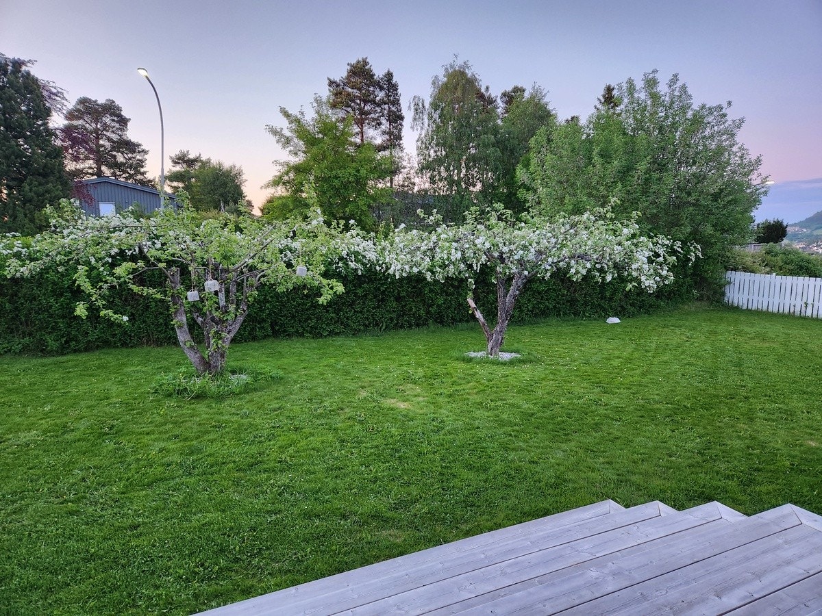Det er en platt å baksiden av huset. Galleribilde