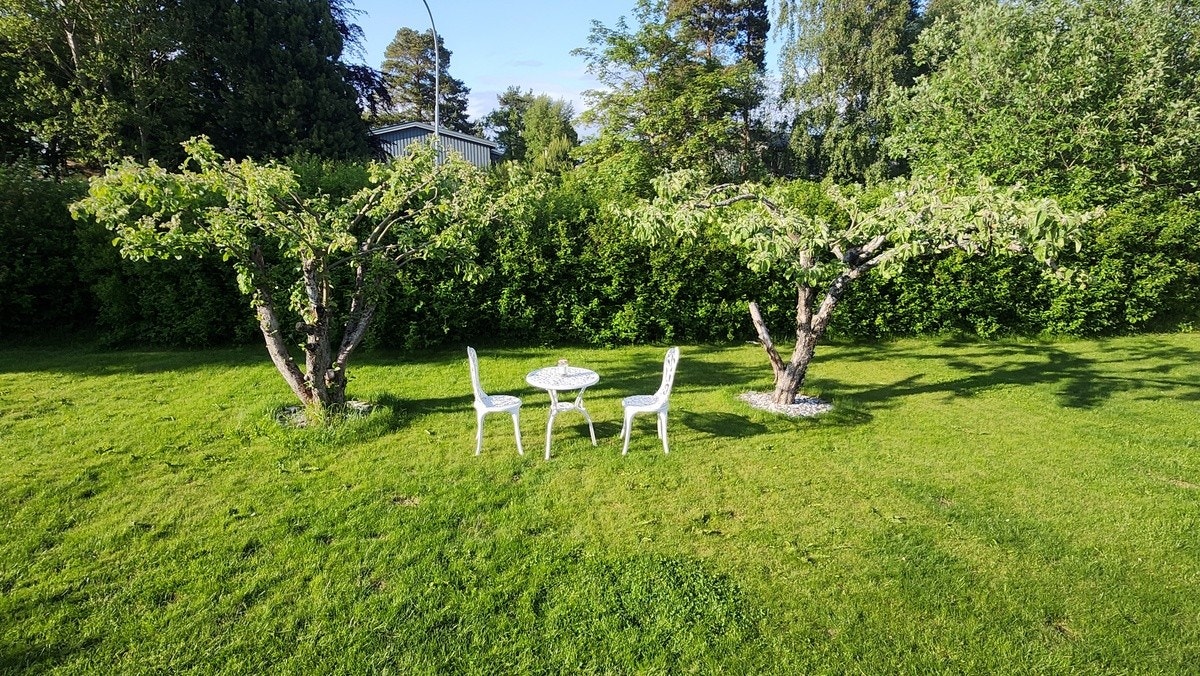 To epletrær og masse plass for grilling og soling! Galleribilde