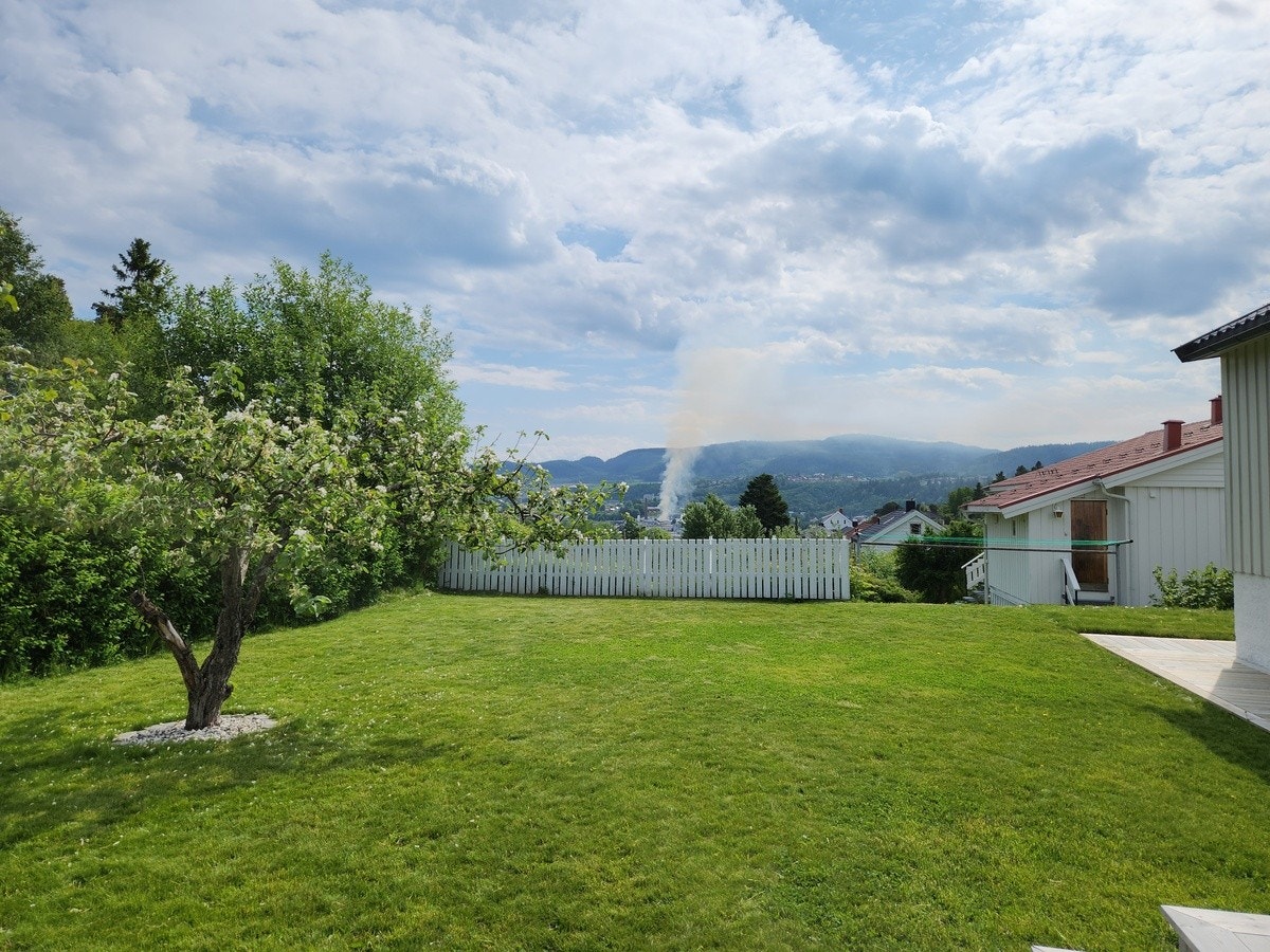 Fin utsikt! Galleribilde