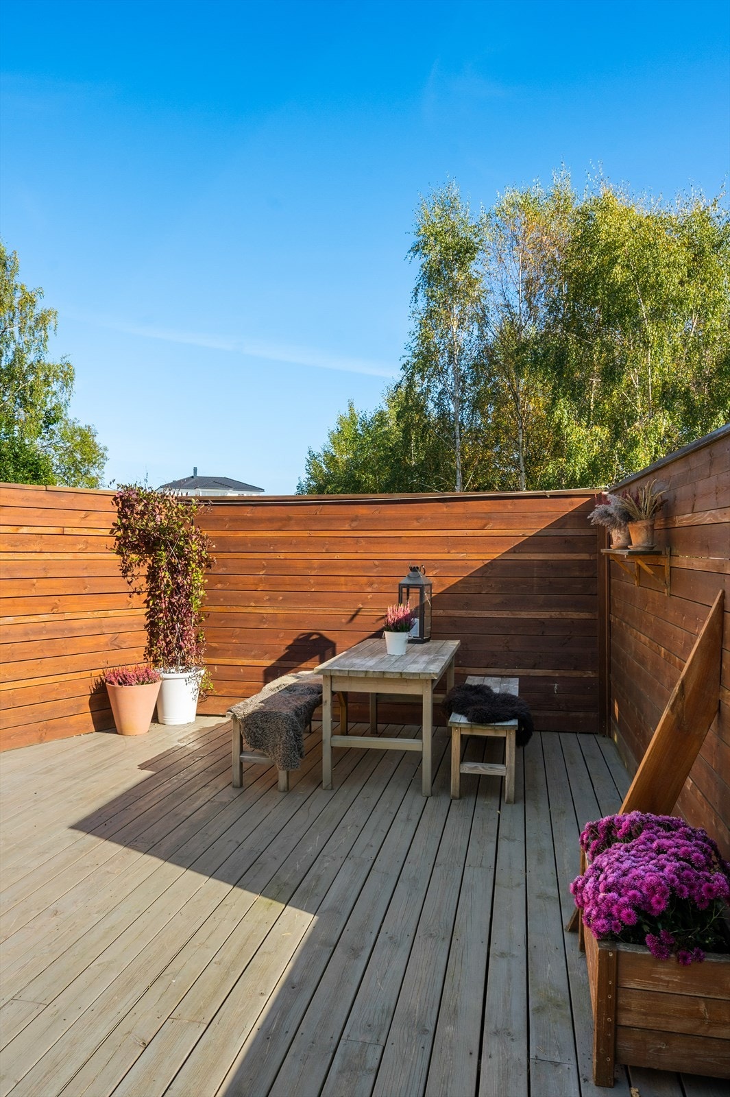 Alle bilder tatt av fotograf Thor Brobakken Galleribilde