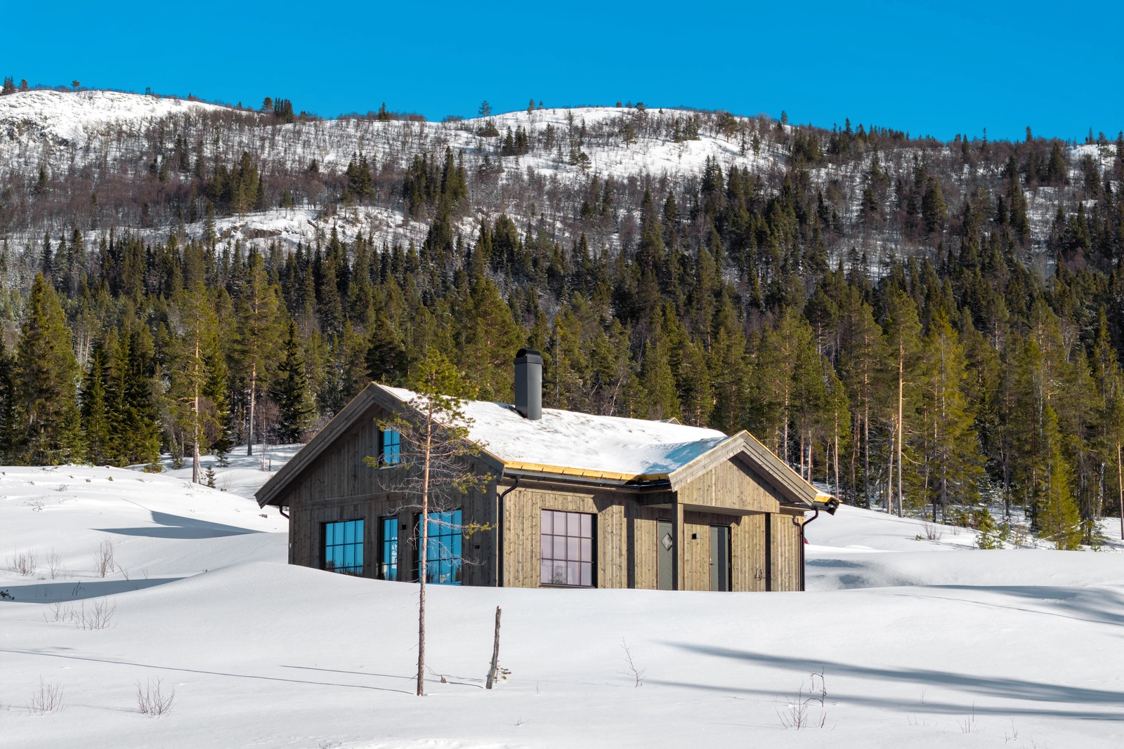 Tilsvarende hytte er prosjektert her på tomt 59 i Nesfjellet Vest Galleribilde