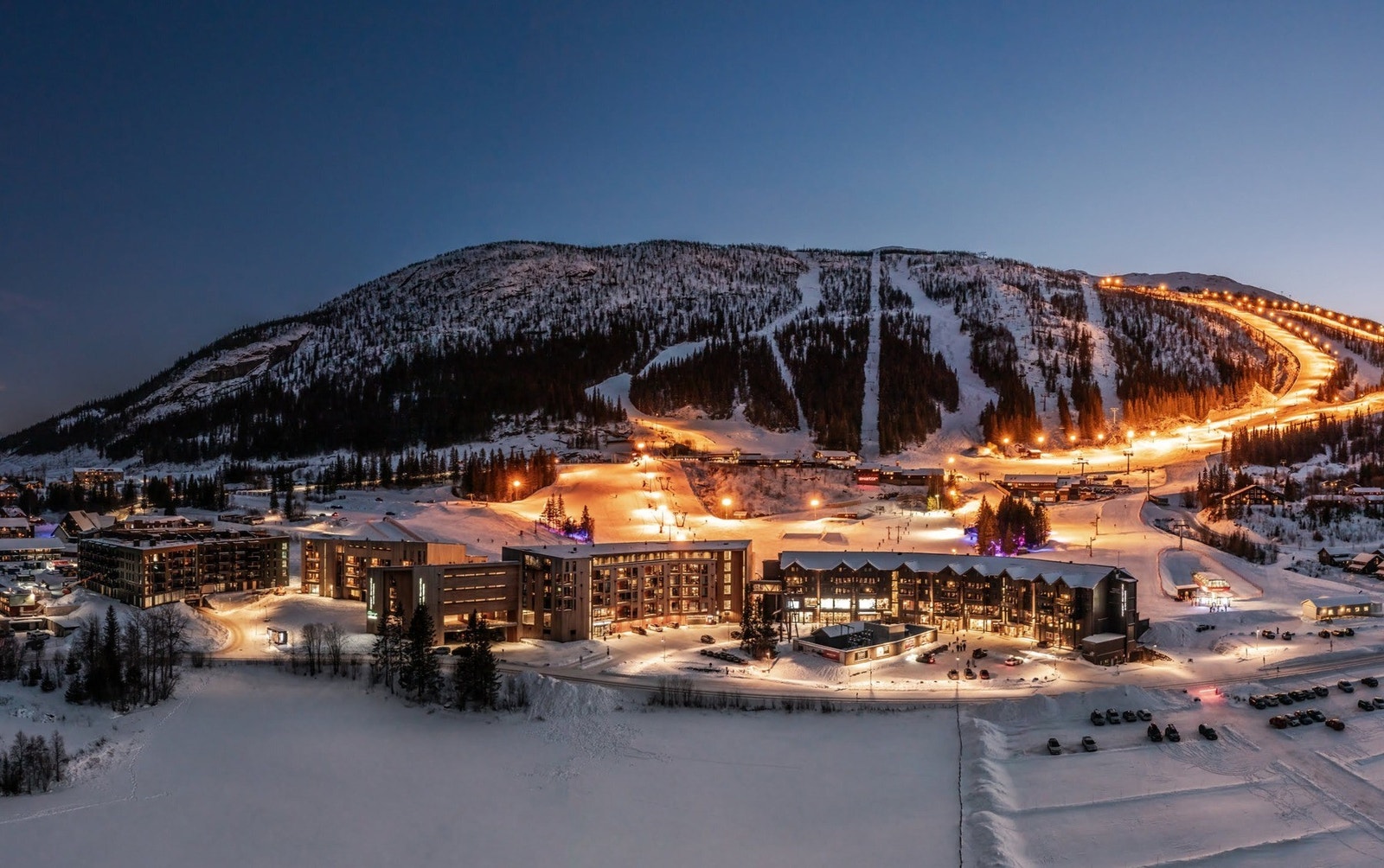 Sentralt i Hemsedal Skisenter. Svært gode leieinntekter. Galleribilde