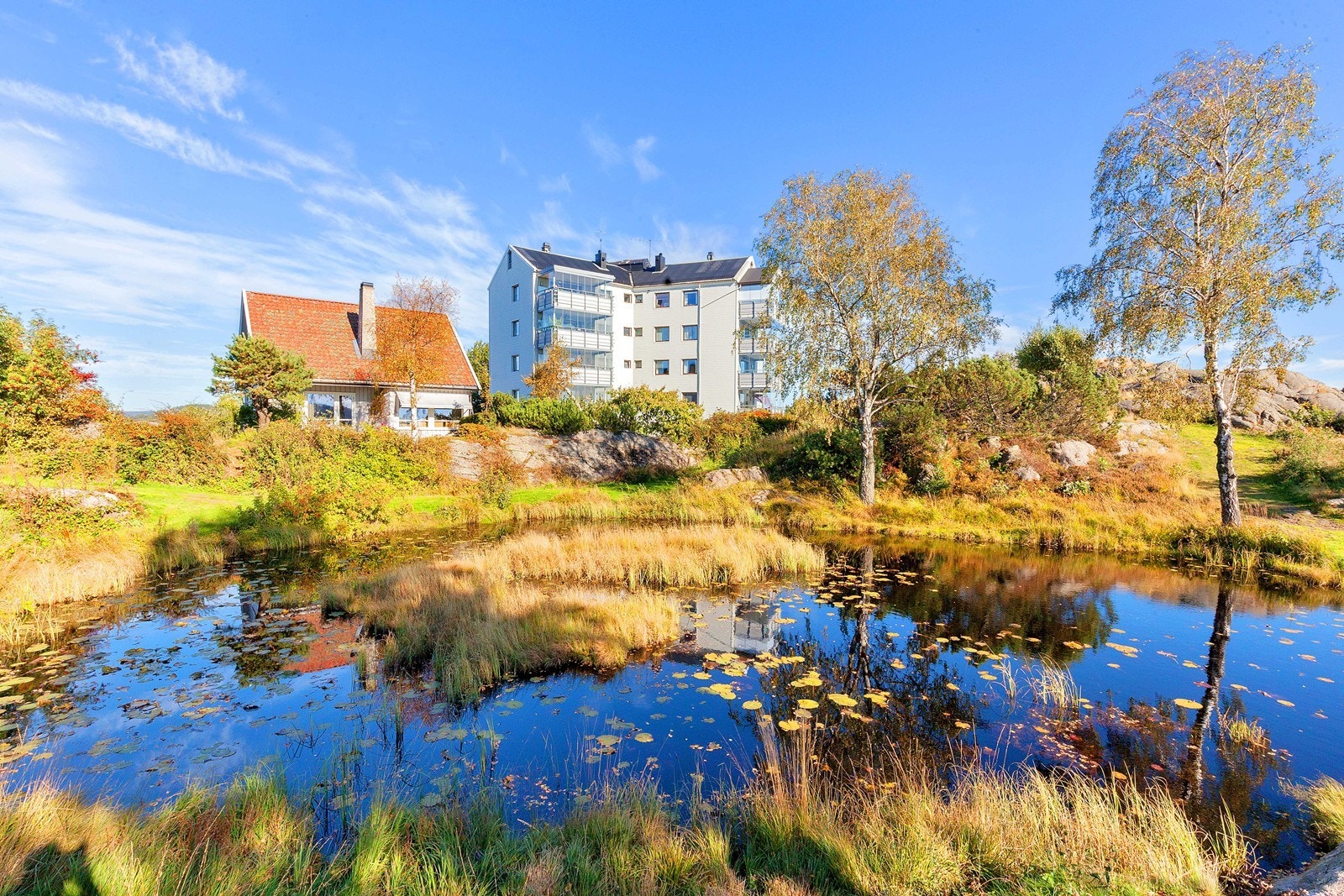 Nærområde. Galleribilde