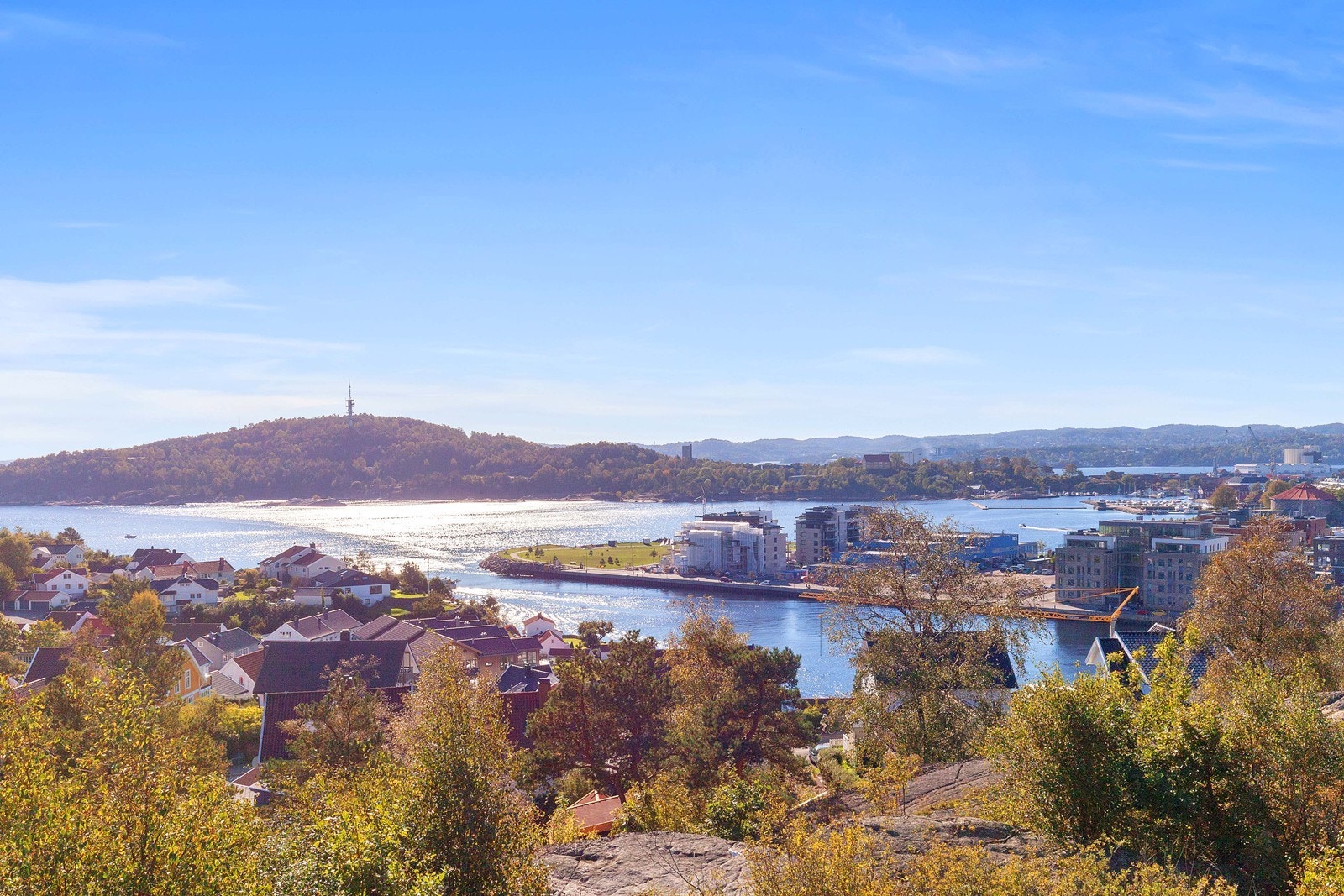 Nærområde. Galleribilde