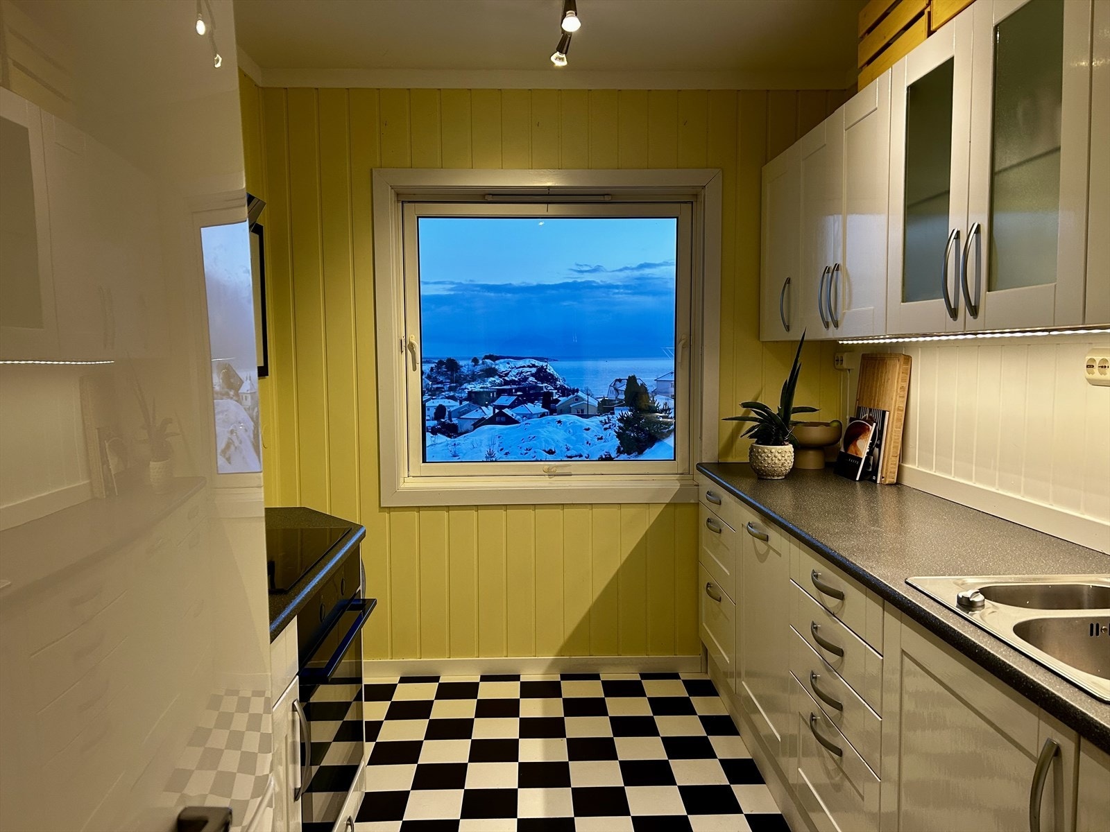 Nydelig sjøutsikt fra kjøkken. Galleribilde