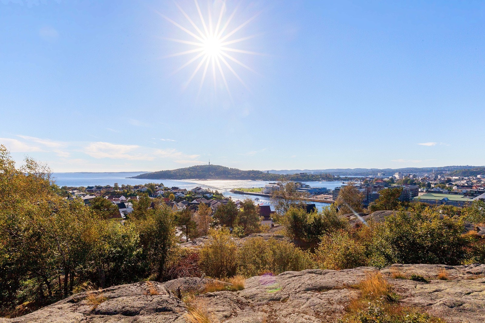 Nærområde. Galleribilde