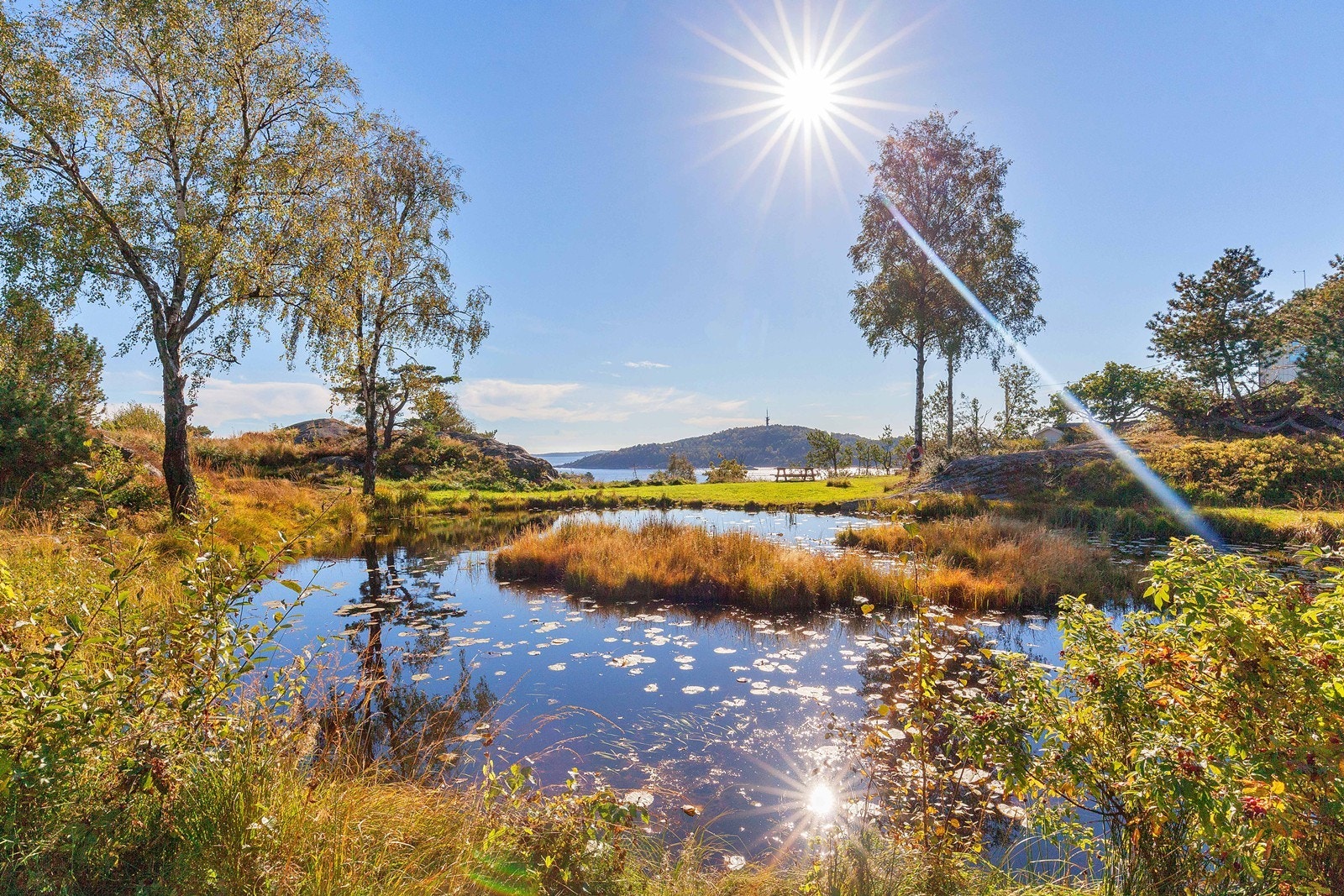 Nærområde. Galleribilde