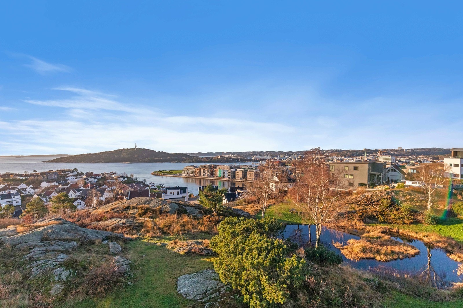 Nærområde. Galleribilde