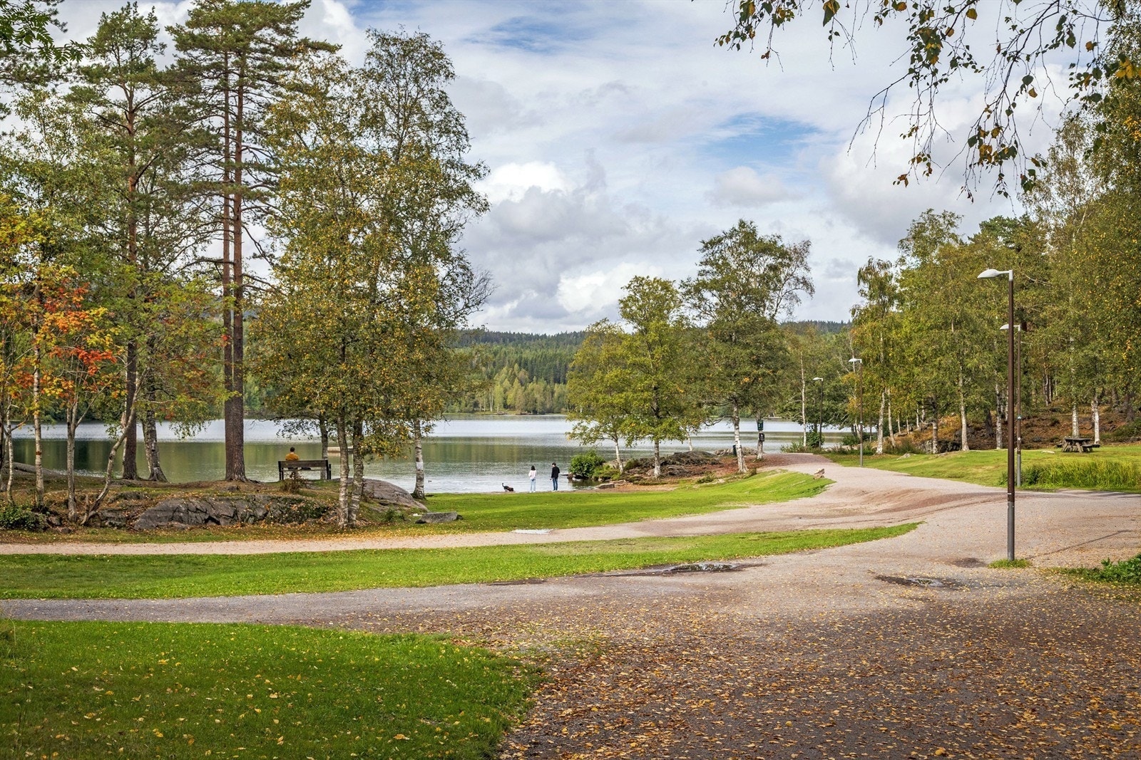 Sognsvann er like i nærheten, med fin tursti rundt vannet og bademuligheter om sommeren Galleribilde