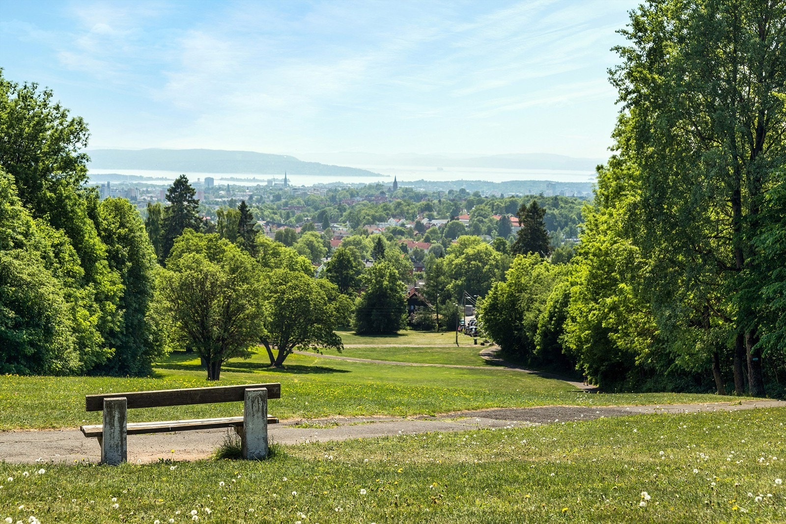 Havnabakken er populær for motbakkeløp om sommeren og akebakke på vinterstid Galleribilde