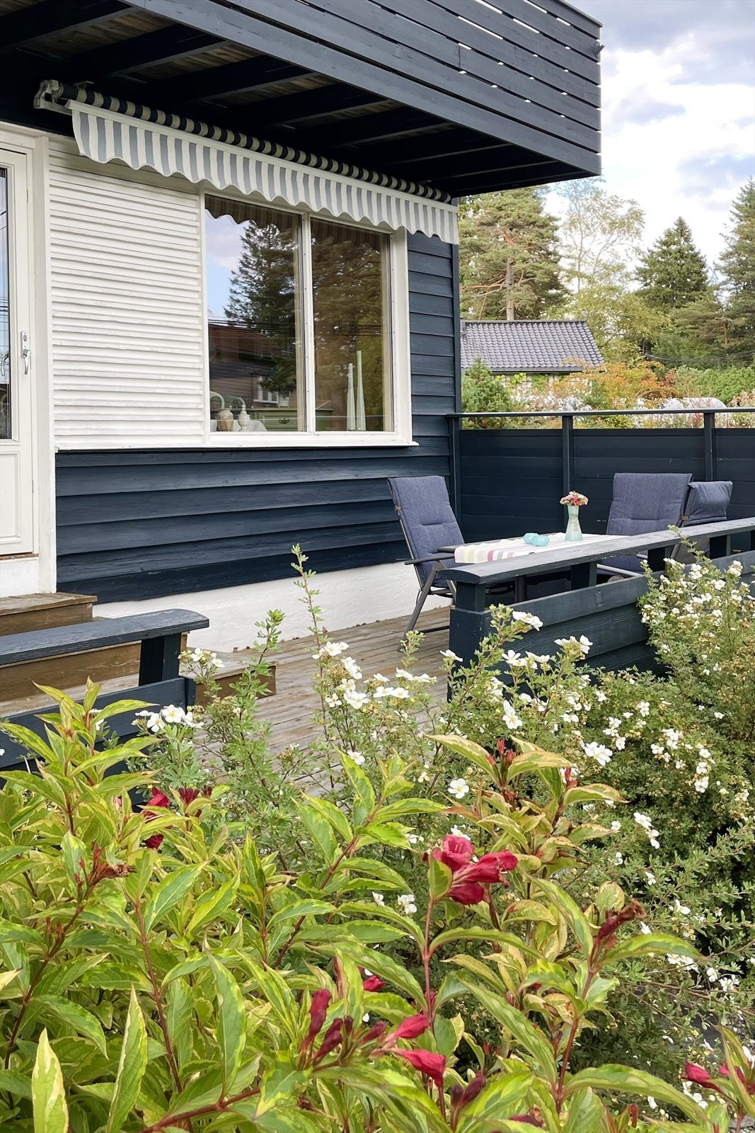 Selgers eget sommerbilde Galleribilde