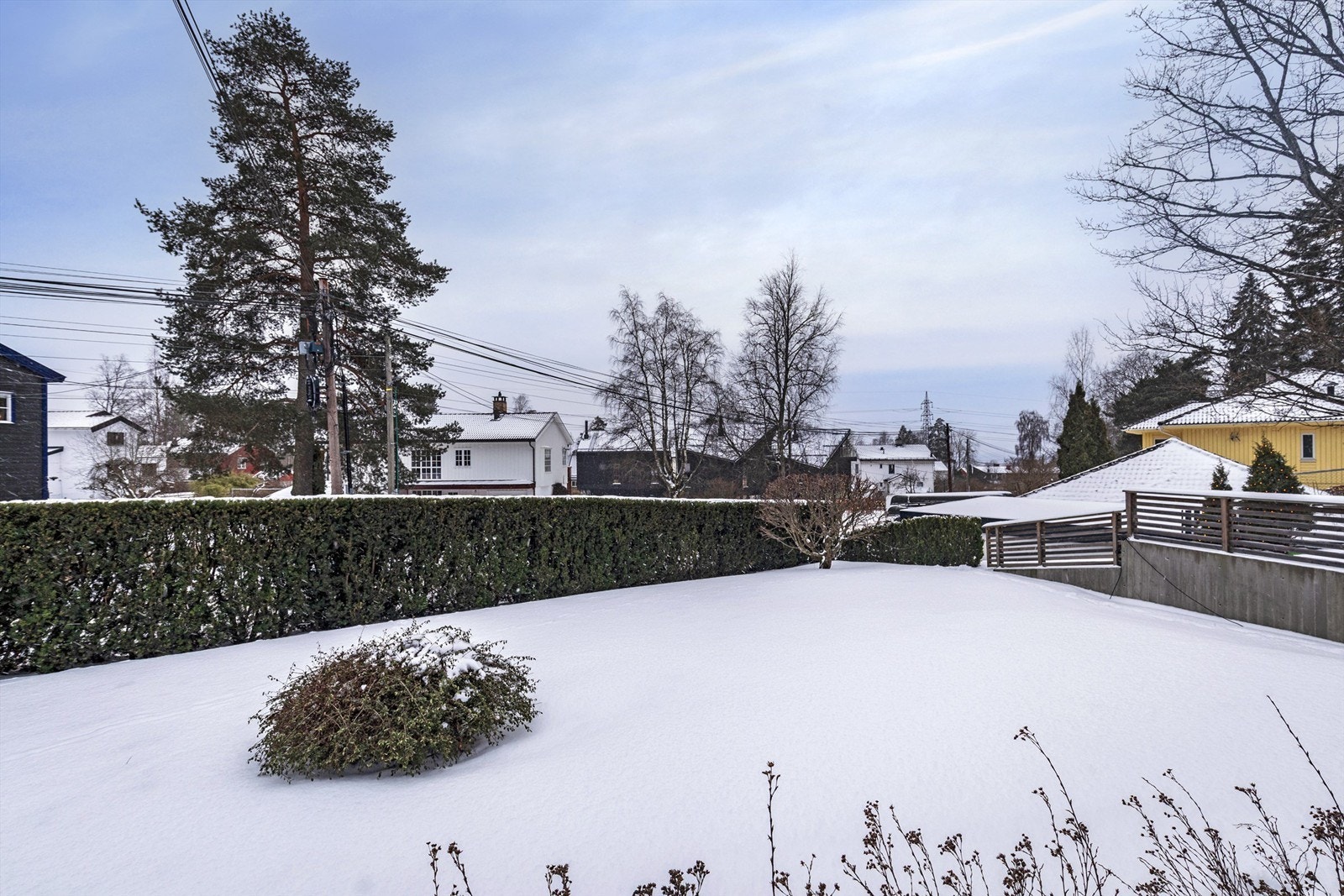 Hagen er skjermet og usjenert med vintergrønn hekk Galleribilde
