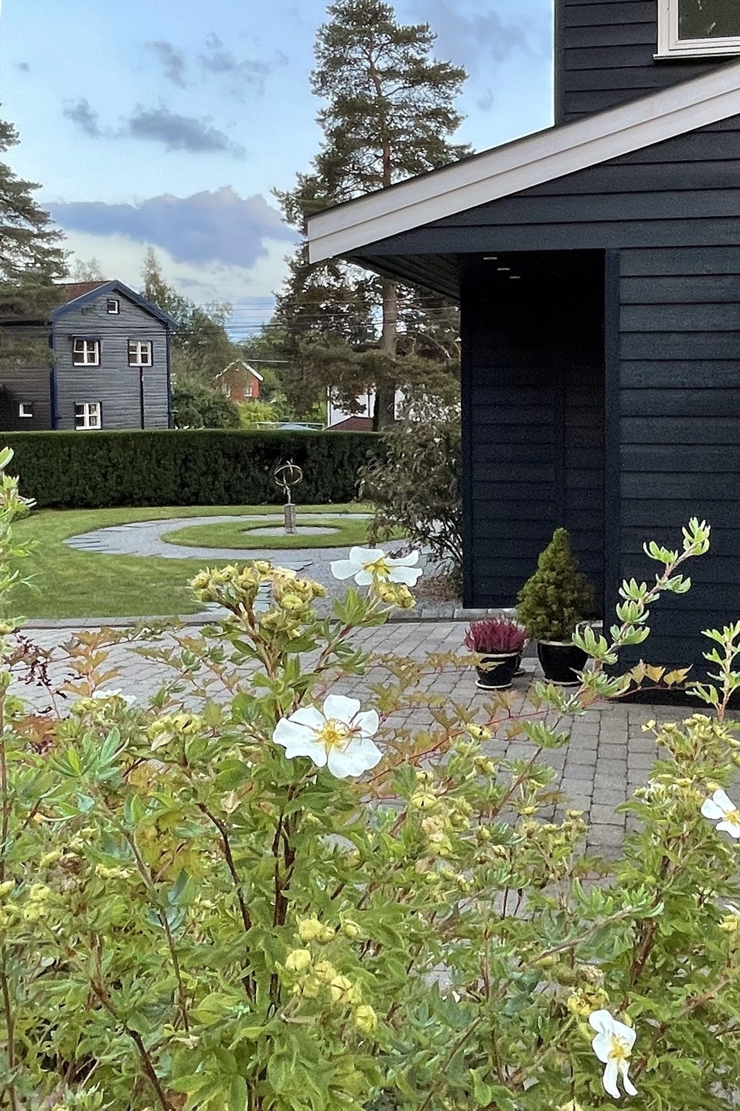 Selger sommerbilde Galleribilde