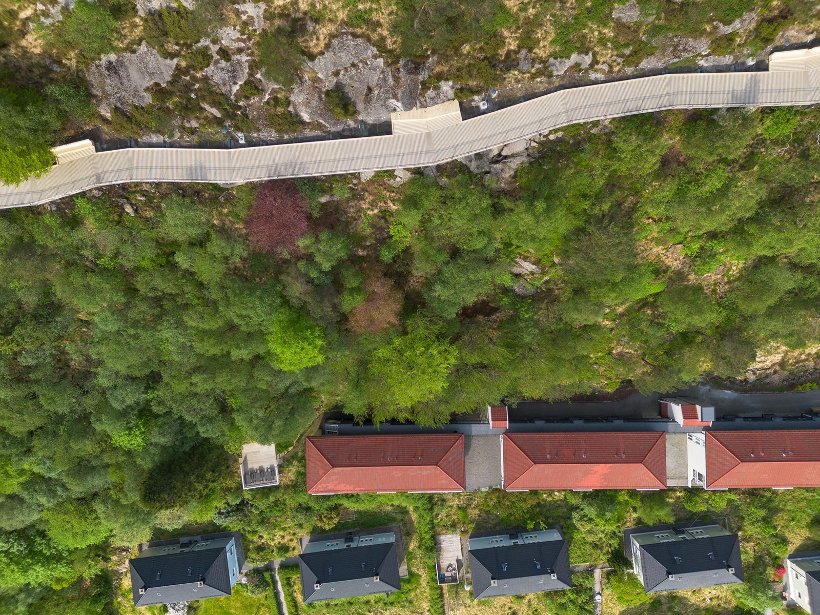 - Rett bak leiligheten ligger populære Løvstien! - Galleribilde