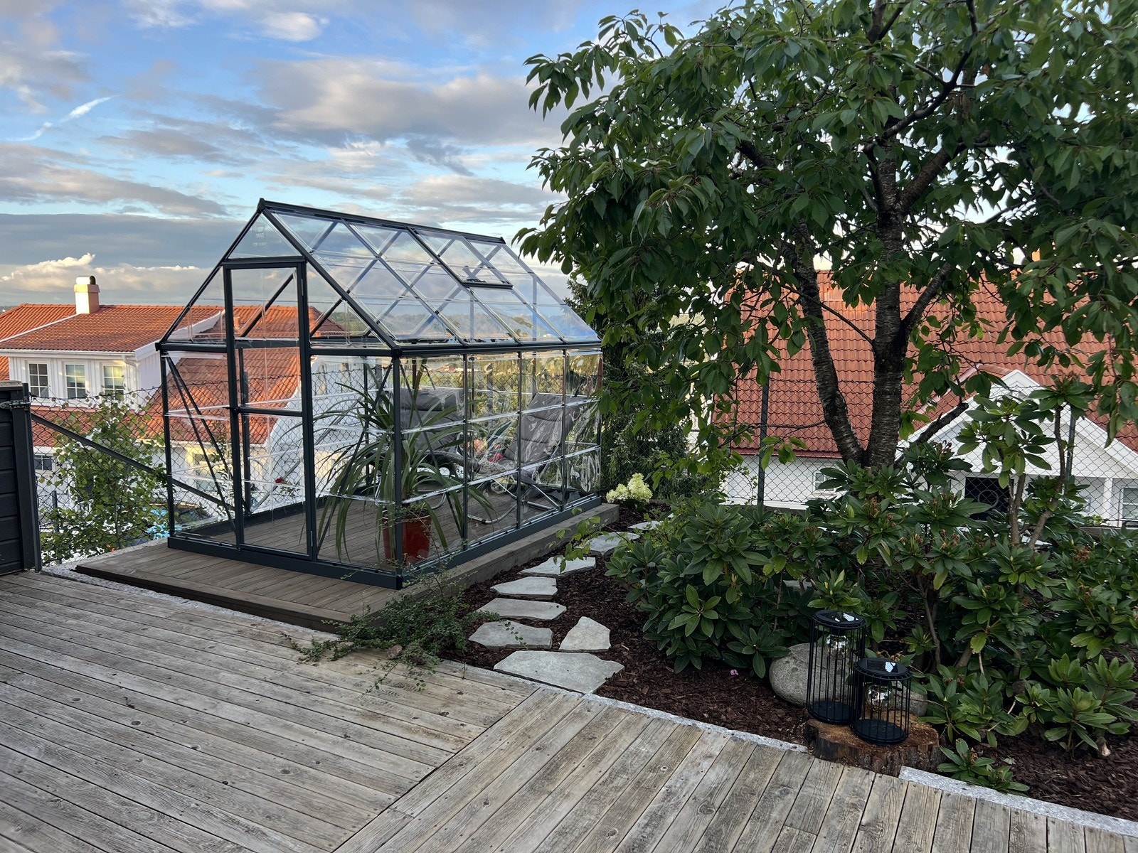 Morell tre og drivhus Galleribilde