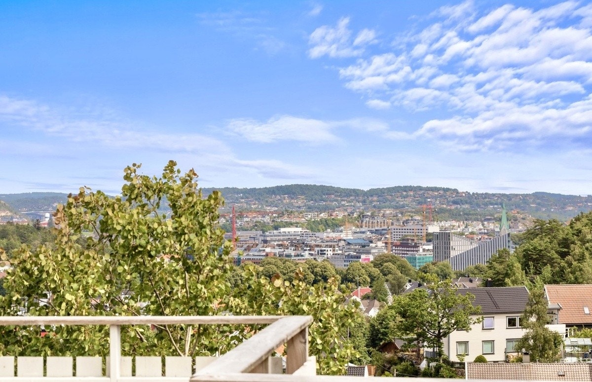 Utsikt til sentrum, domkirken. Galleribilde