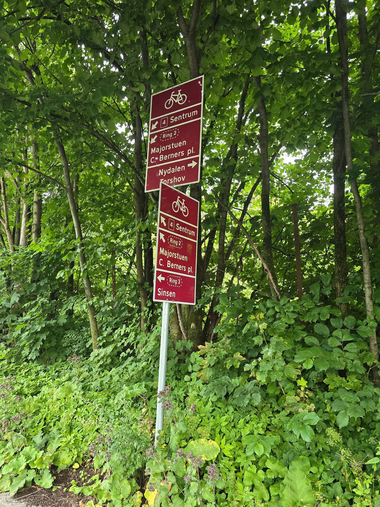 Nærområdet Galleribilde