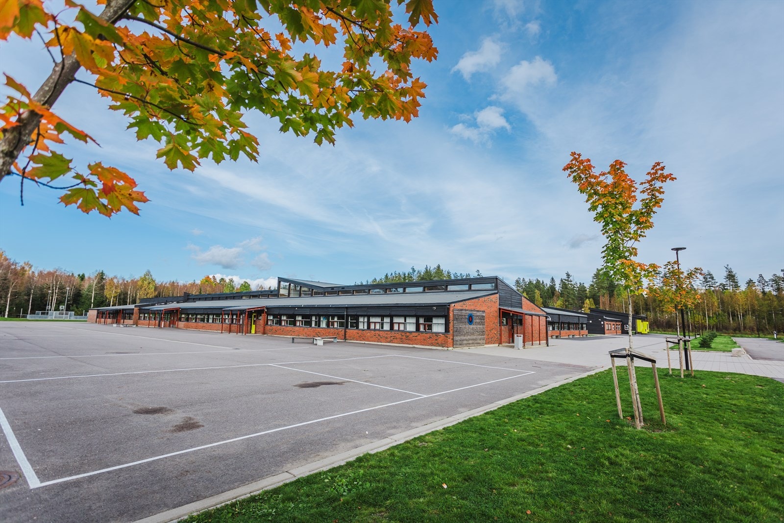 Områdebilde. Galleribilde