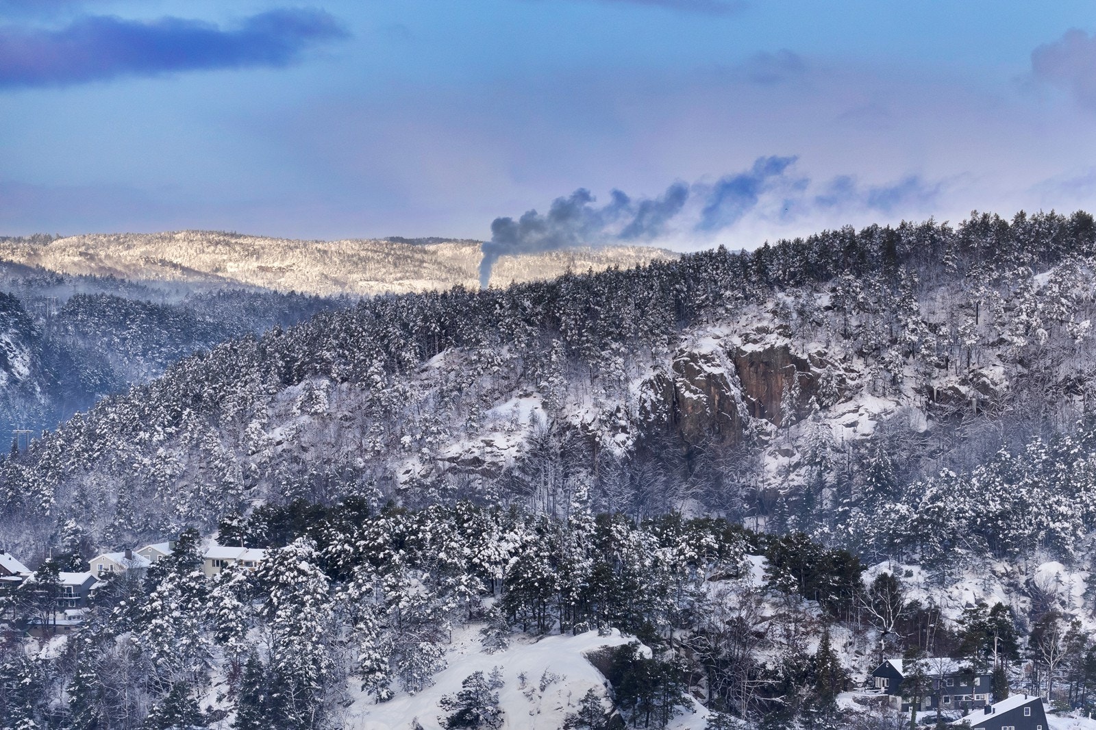 Utsikt. Galleribilde